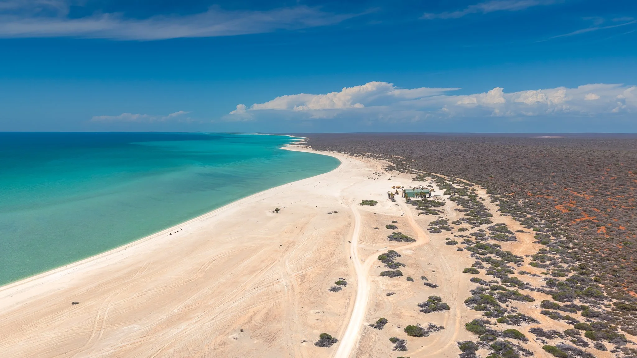 Shark Bay, WA, Australia
