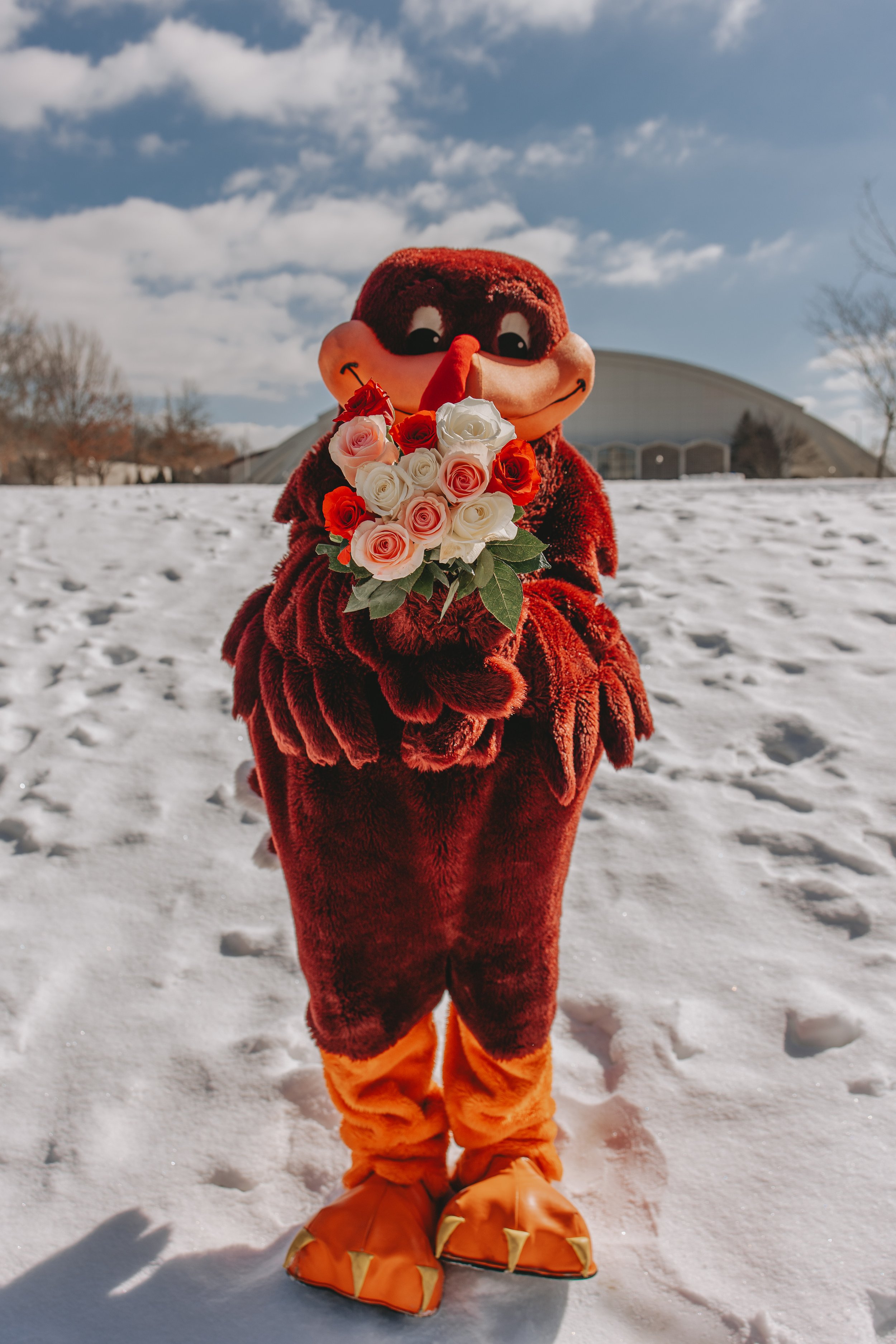 VTA x Hokiebird Valentines_02_2025_018.jpg