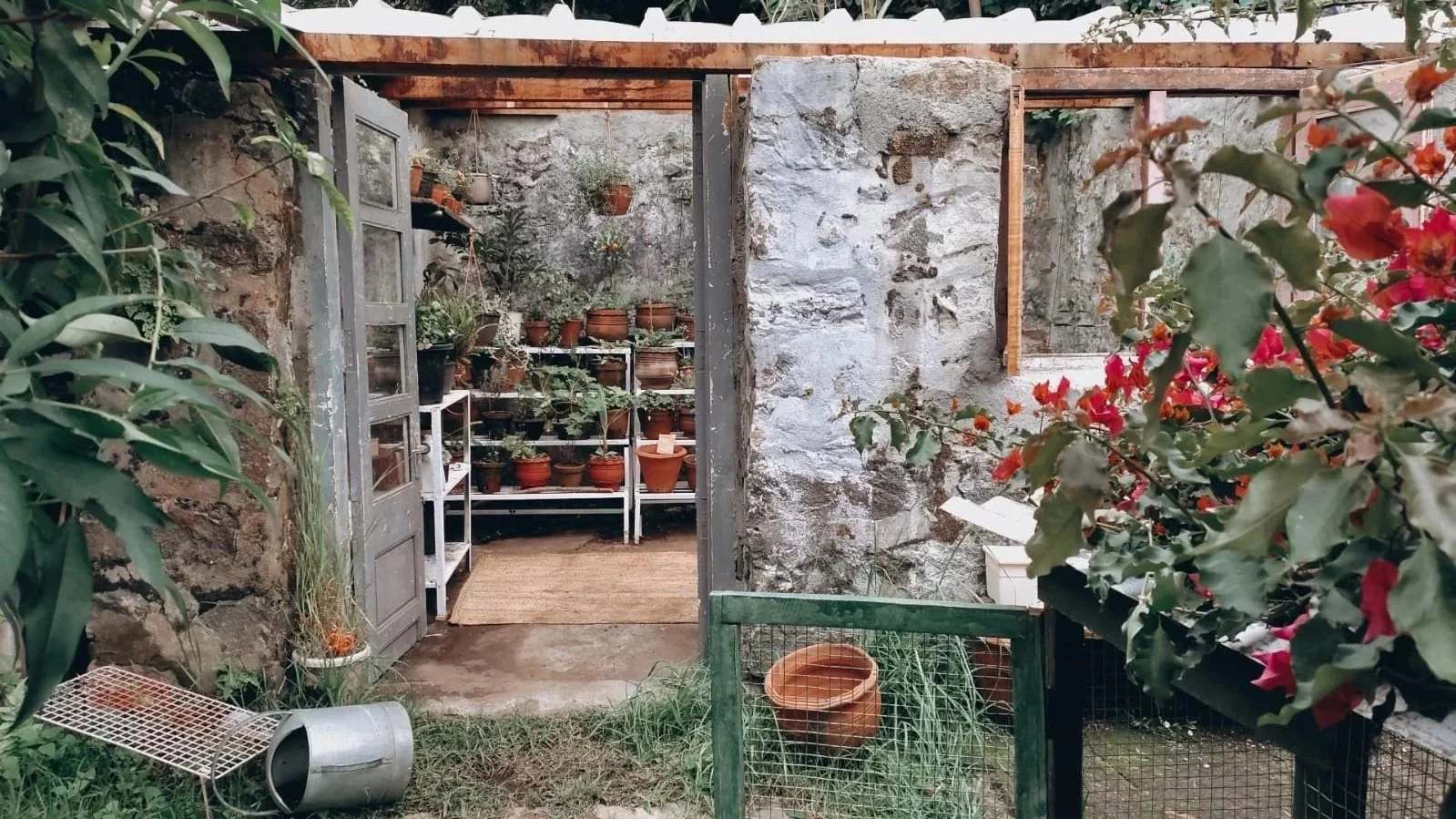 Sunnyside Up Spaces: The Petite Greenhouse