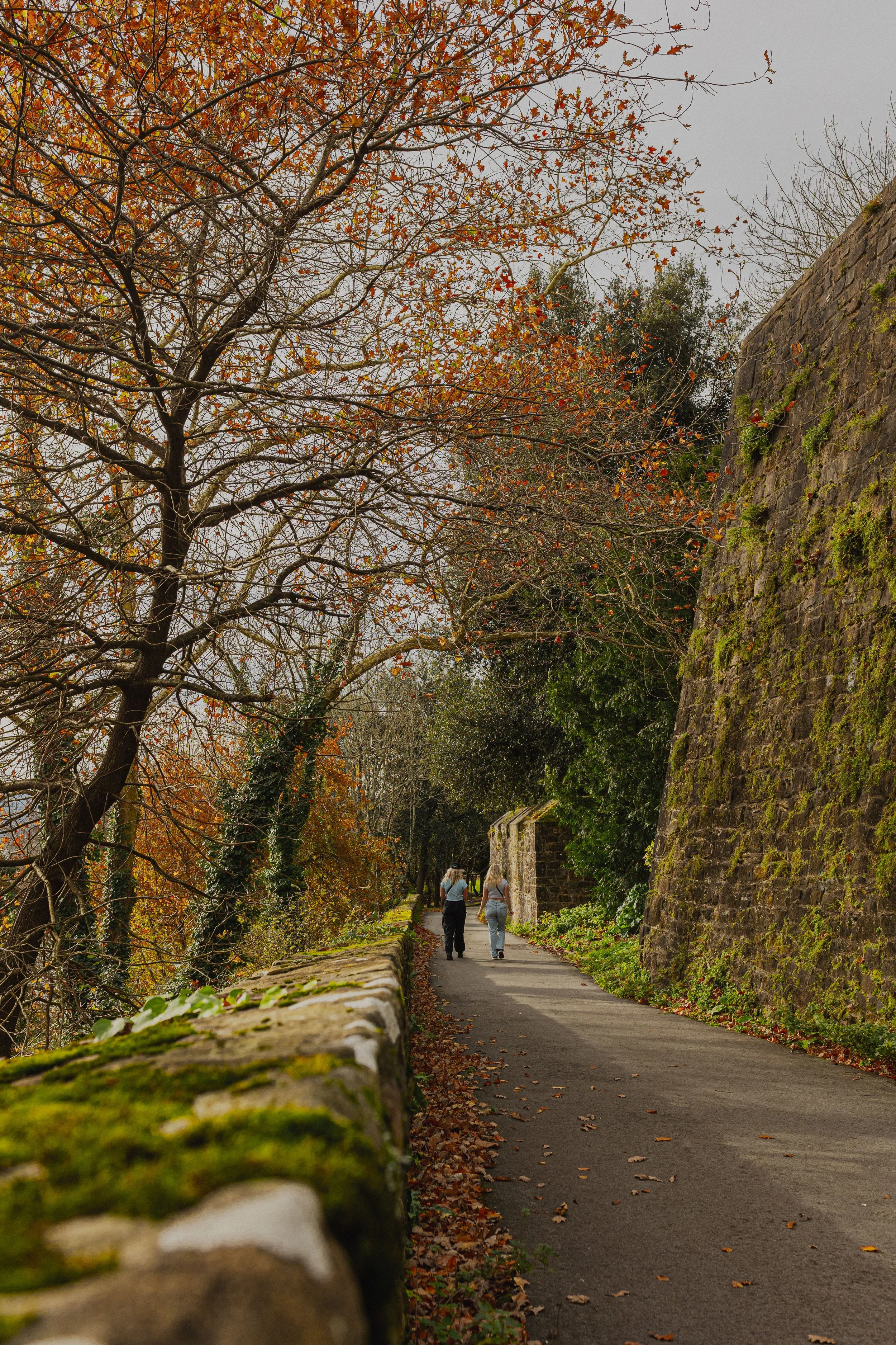 Two people walking along a pathway lined with trees and an old stone wall covered in moss, during autumn with fallen leaves on the ground.