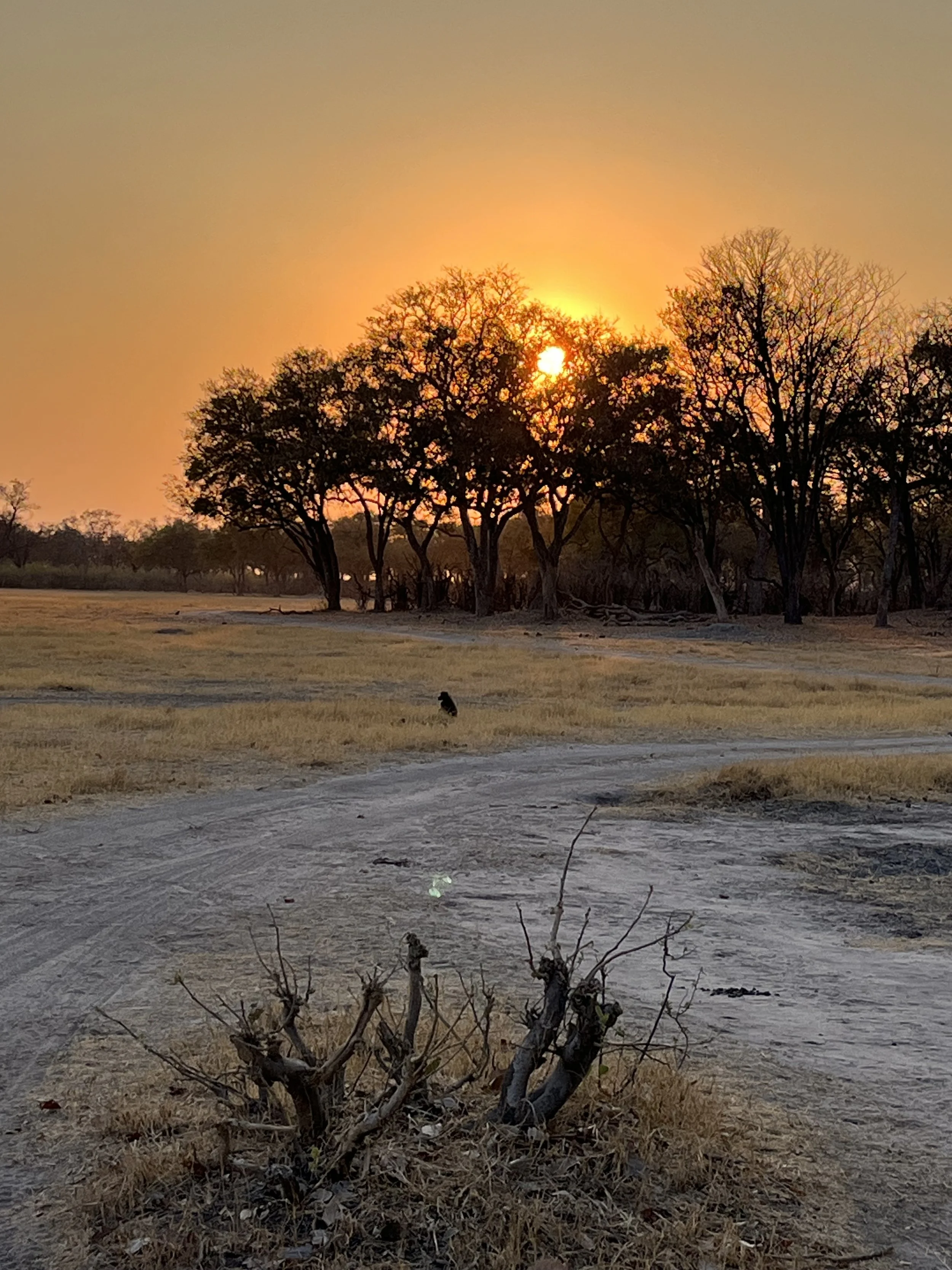 Stan jedności z życiem.