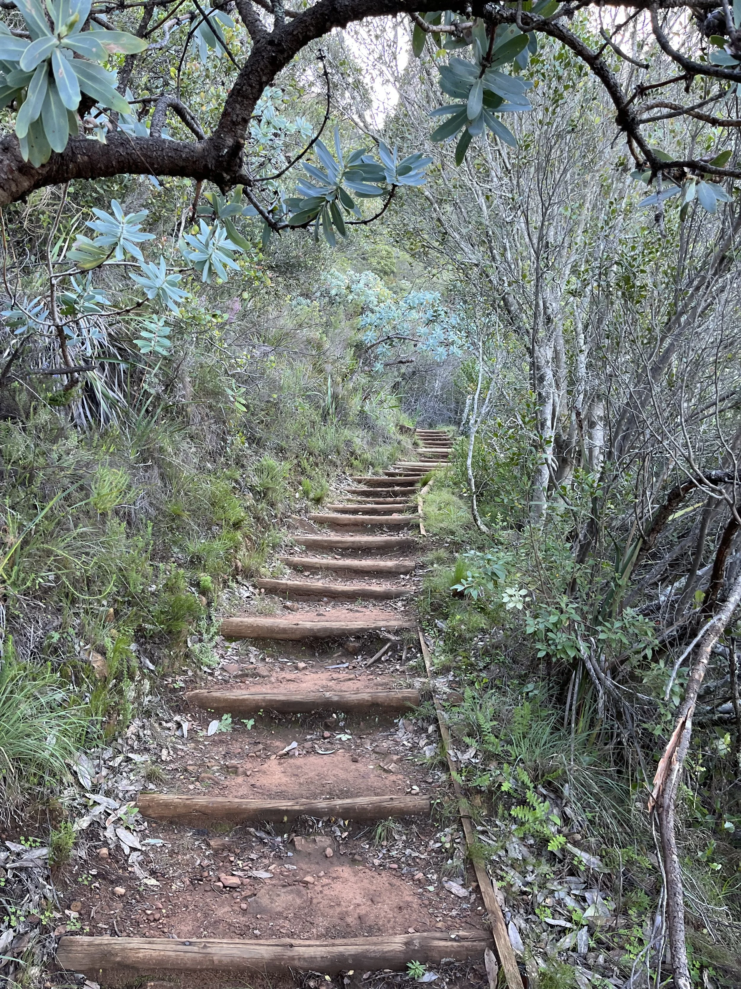 Jak zadbać o swój codzienny, wewnętrzny dobrobyt?
