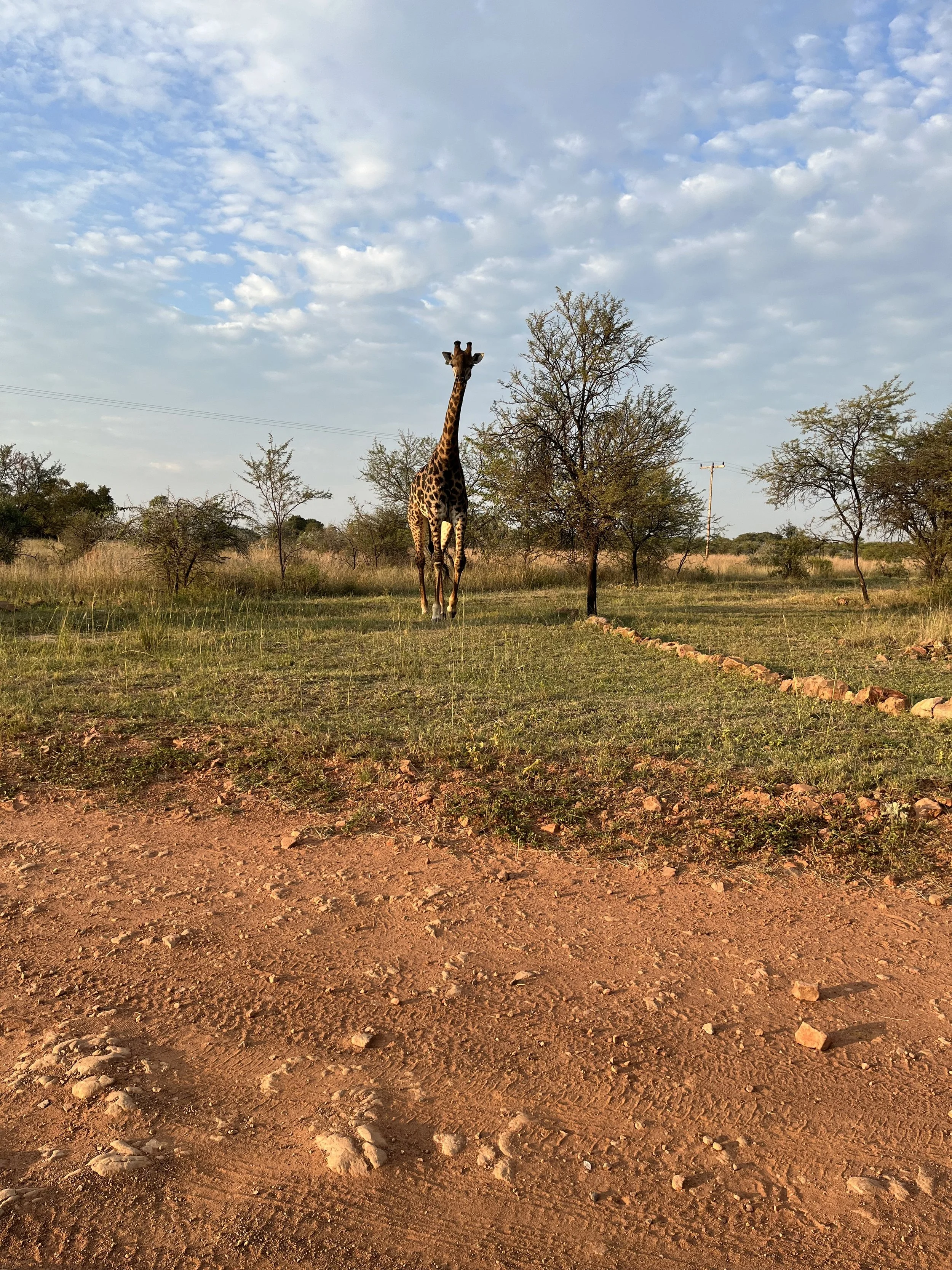 Łączenie się z inteligencją ciała