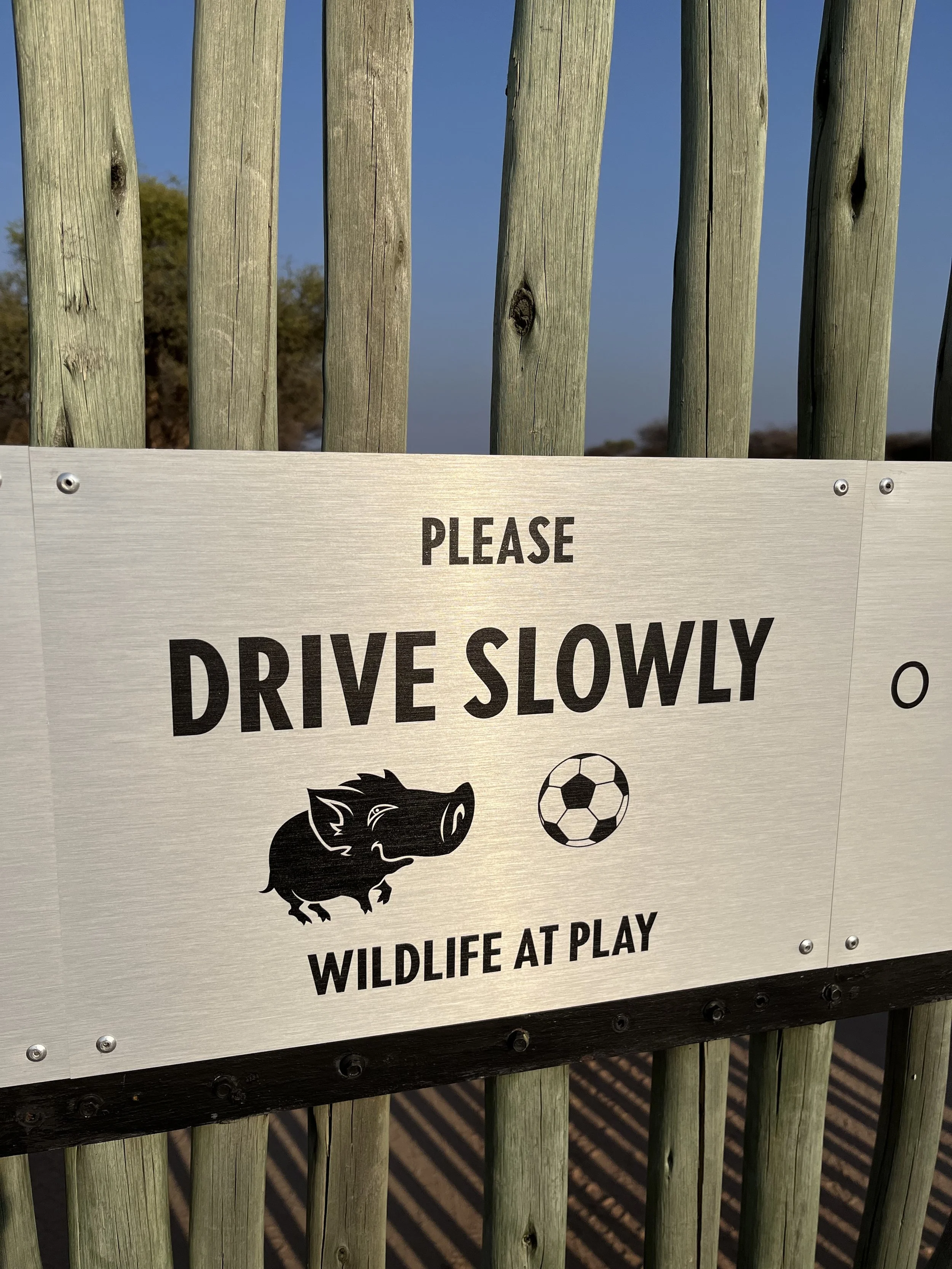 IMG_3638 — kopia.jpeg