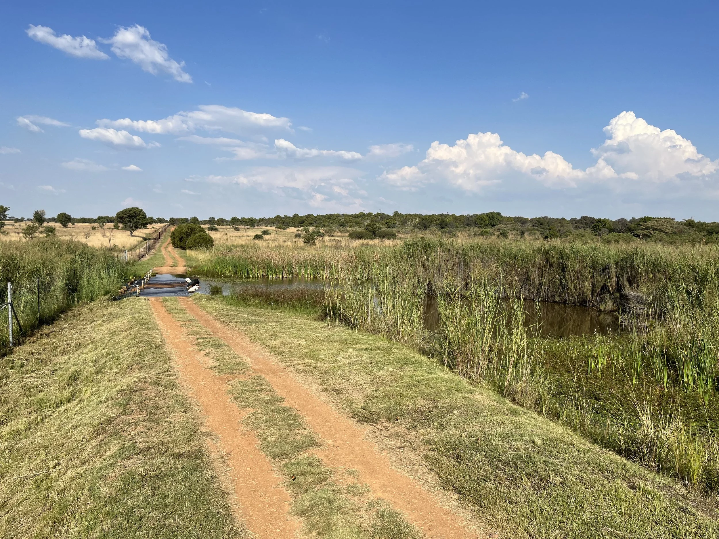 How can I build trust in life?