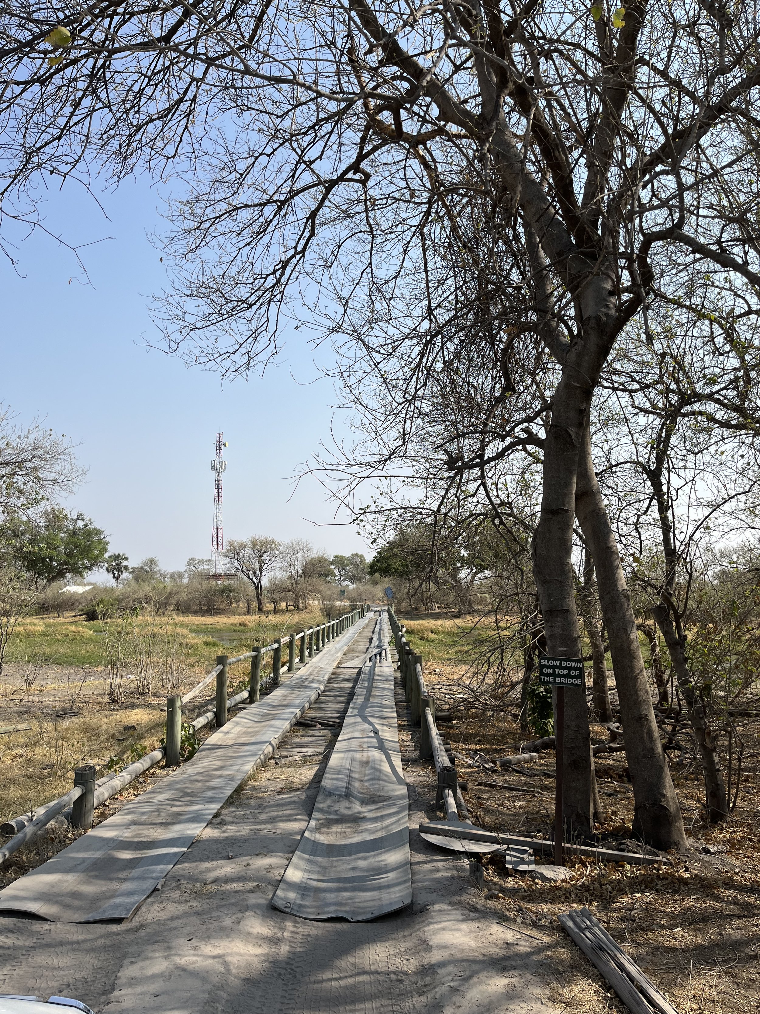 What does it mean to surrender to life, and how can we do that?