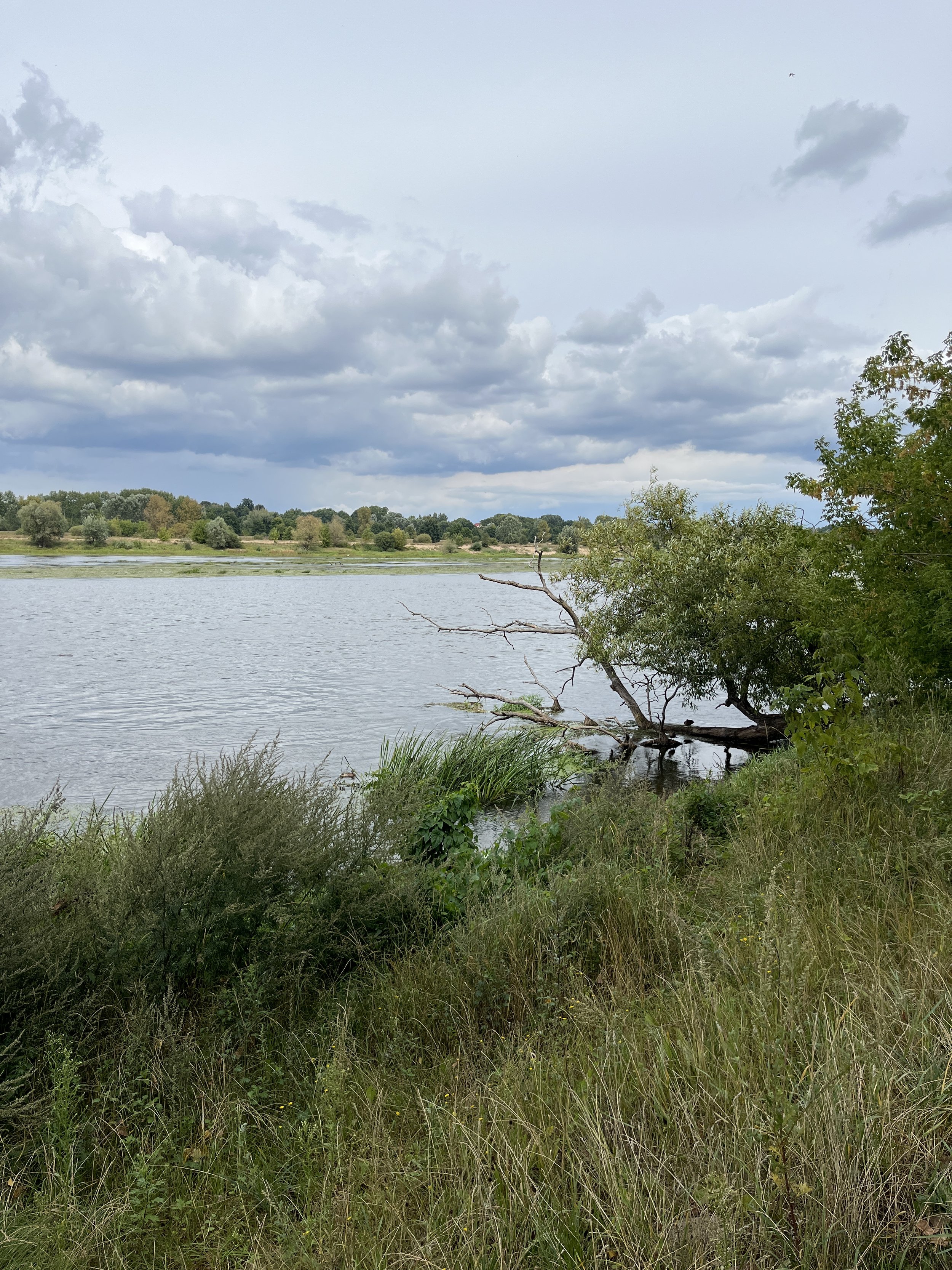 Program Praktyki Obecności