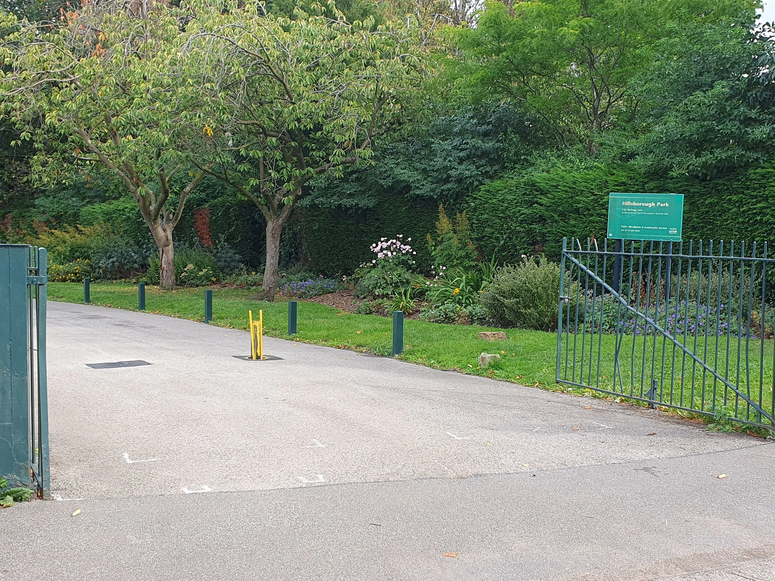 Hillsborough P
Walk down this path until you get to a left turn onto a smaller path.