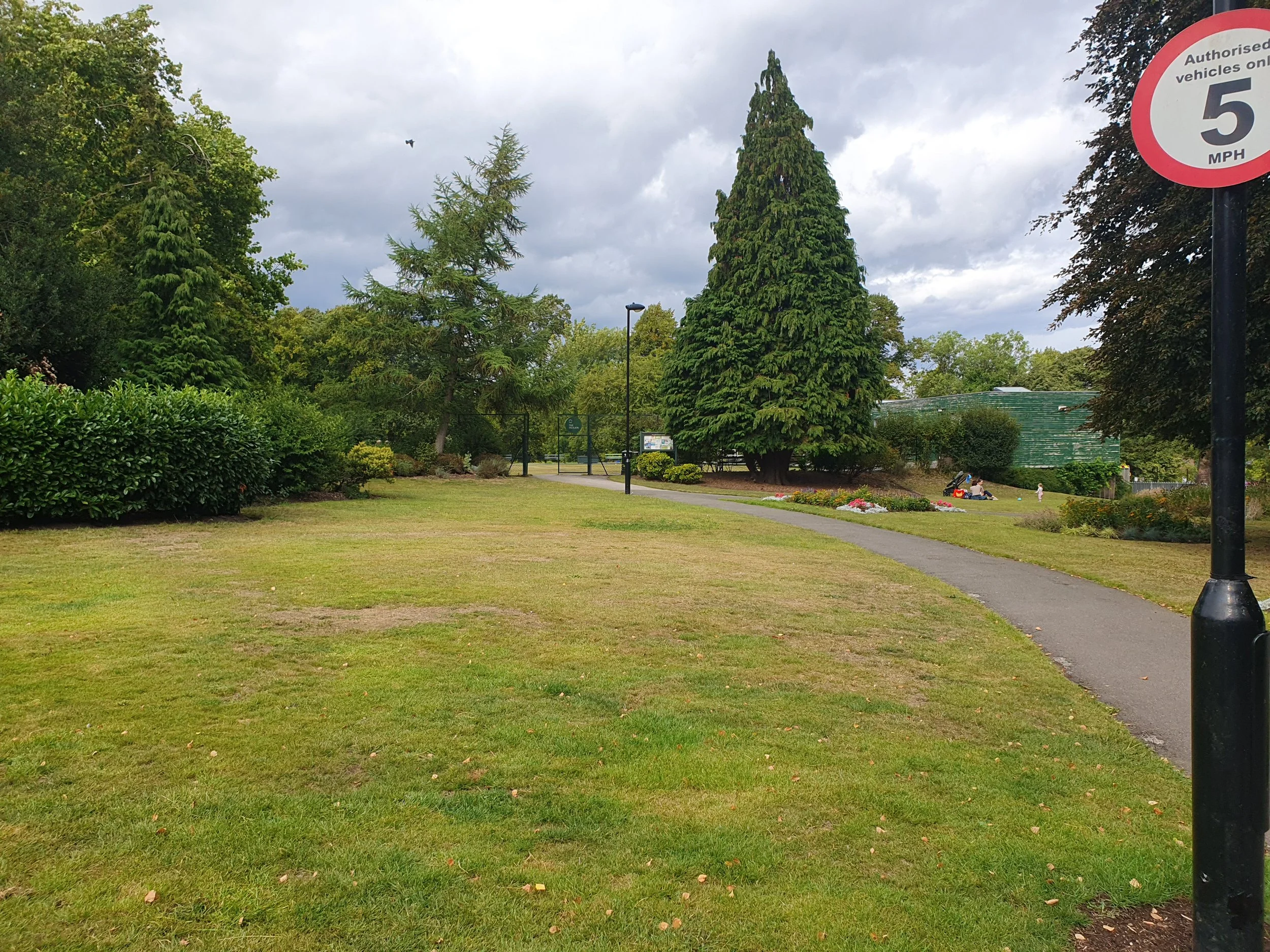 Turn left at the first small path, head towards this very triangular tree. 