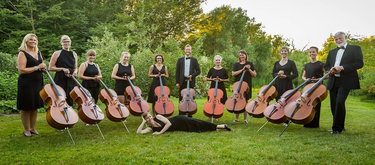 IRONI & ELEGANCE, Sommer 2026