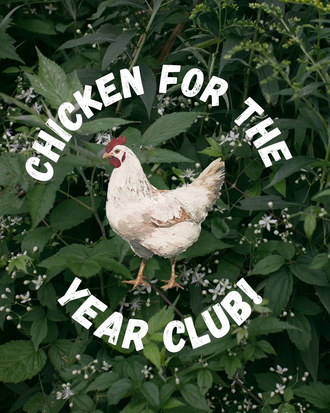 Introducing our Chicken For The Year Club 2026🐓

Pre-order your chicken share to get the best deal &amp; also ensure that your family doesn&rsquo;t miss out on fresh pasture-raised, organically fed chicken this year (it sells out fast!)

mullerfarms
