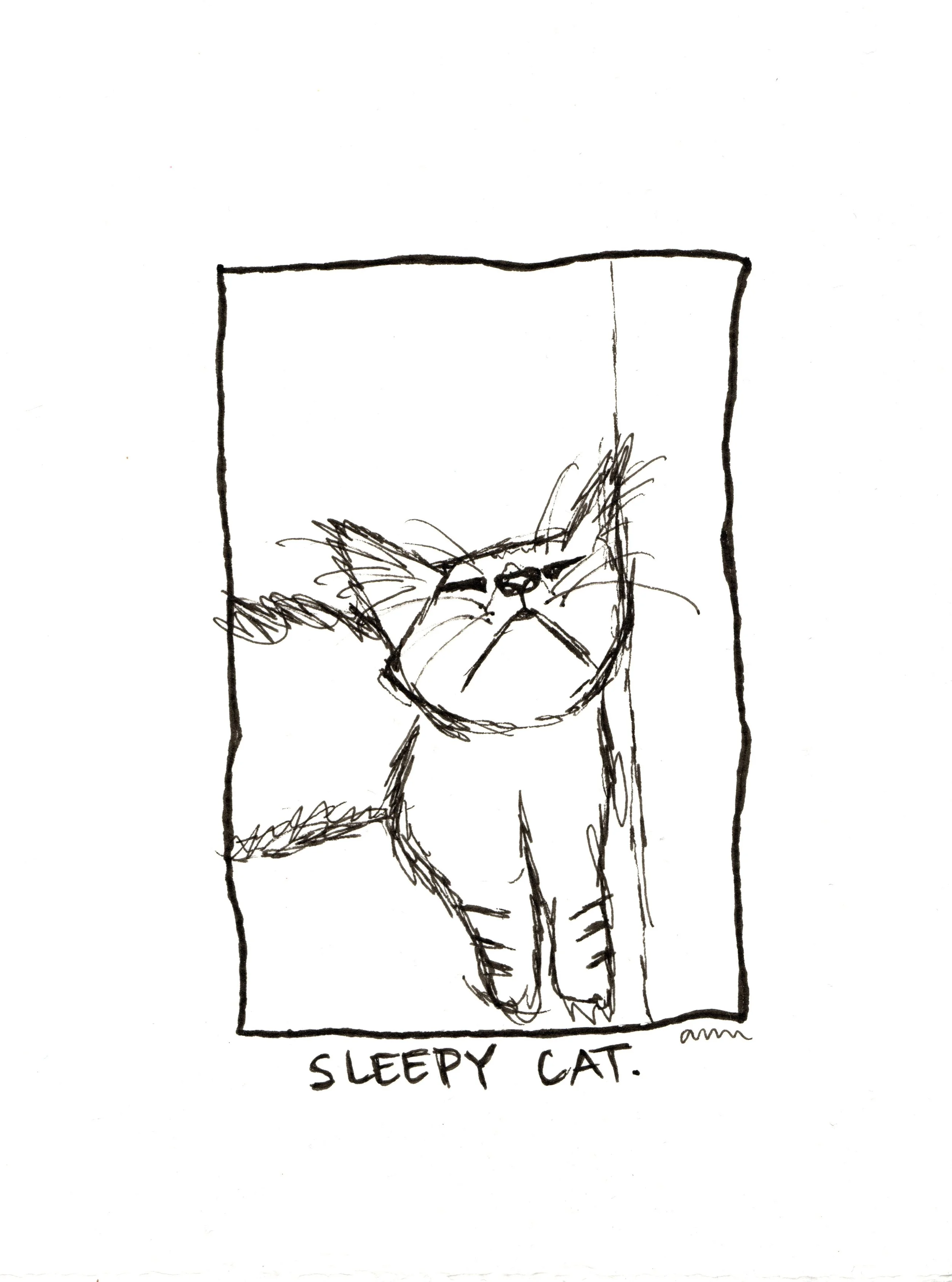 sleepy_cat.jpg