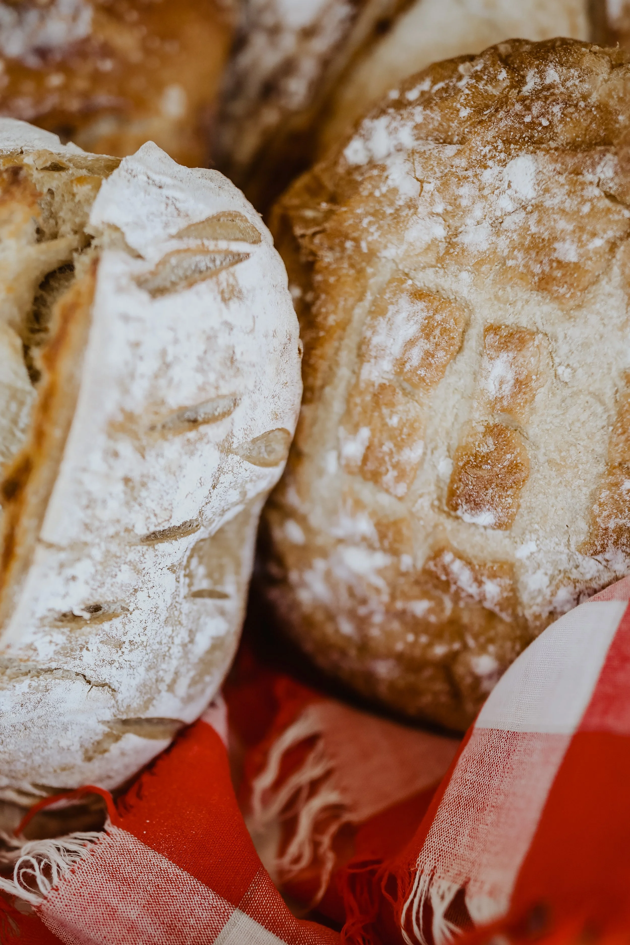 Sourdough-EdibleOKC-RachelWaters.co-1.jpg