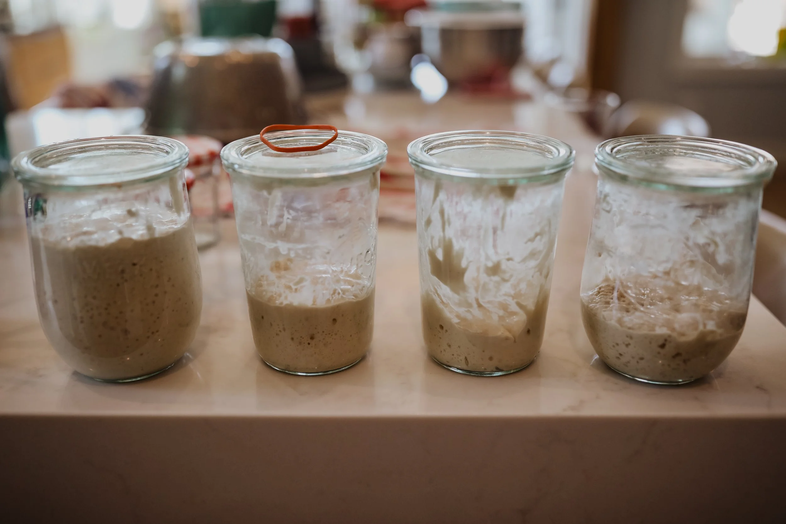 Sourdough-EdibleOKC-RachelWaters.co-3.jpg