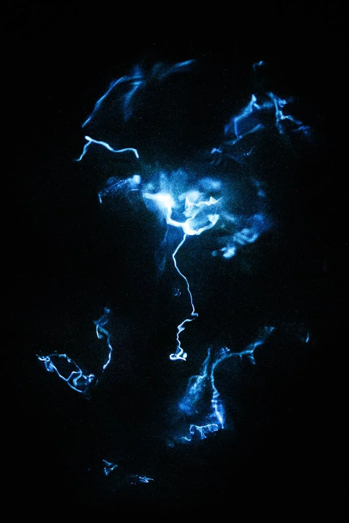 Toby_Sinkinson_Bioluminescence.jpg