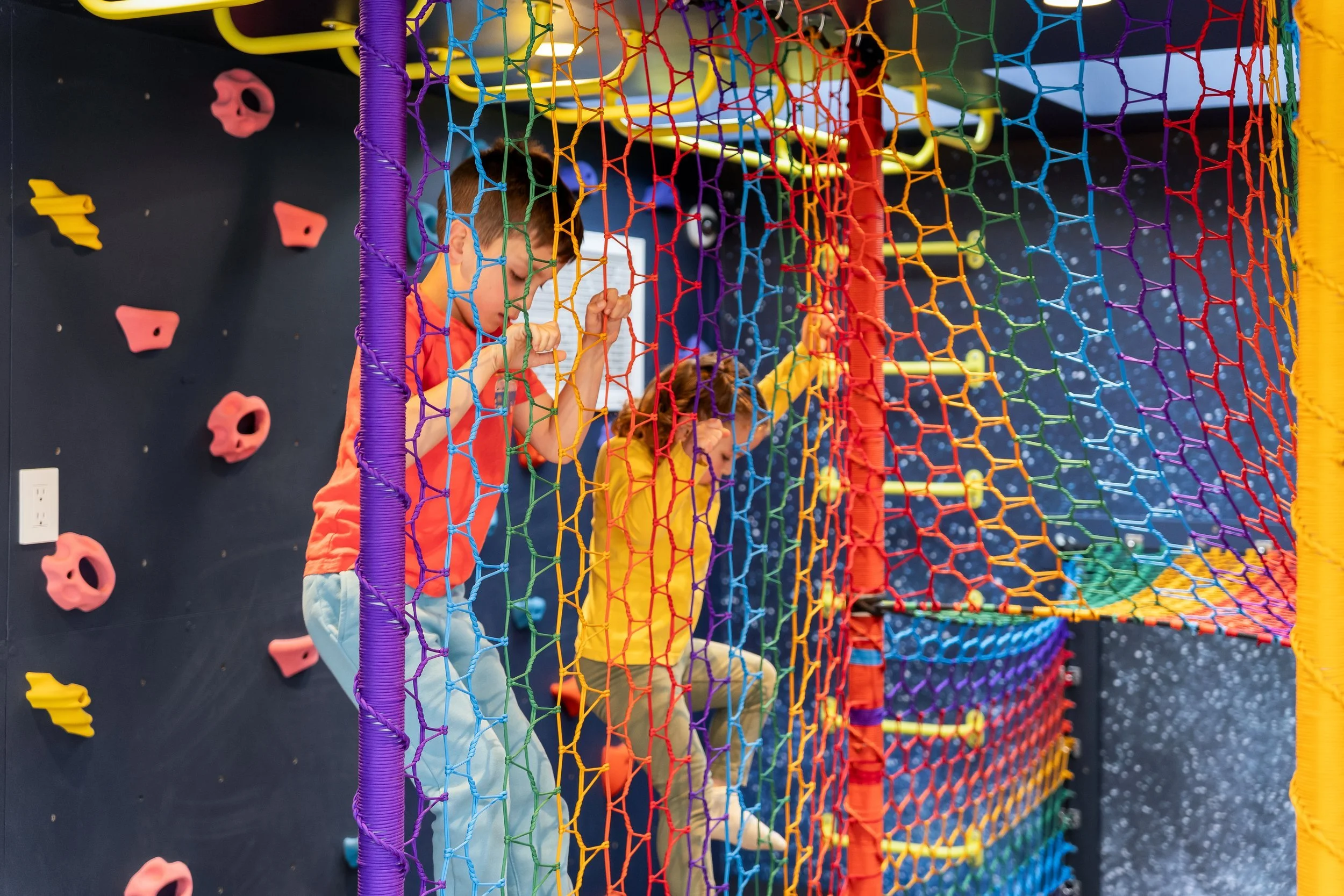 Treenet Collective — treenets and indoor paracord nets for businesses