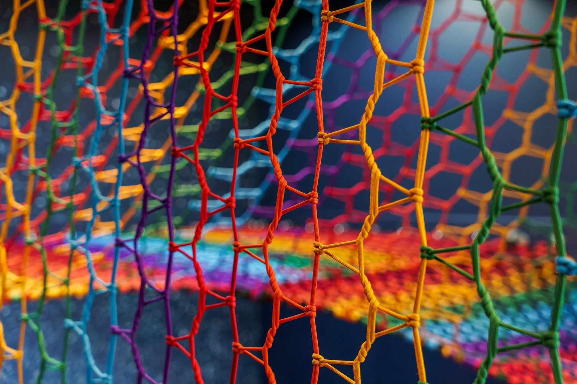 4_Treenet Collective.jpg