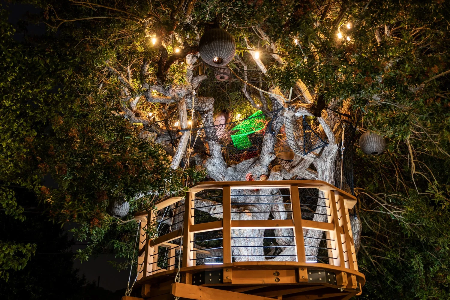 Tree Net Rave Treenet Collective — treenets and indoor paracord nets for businesses