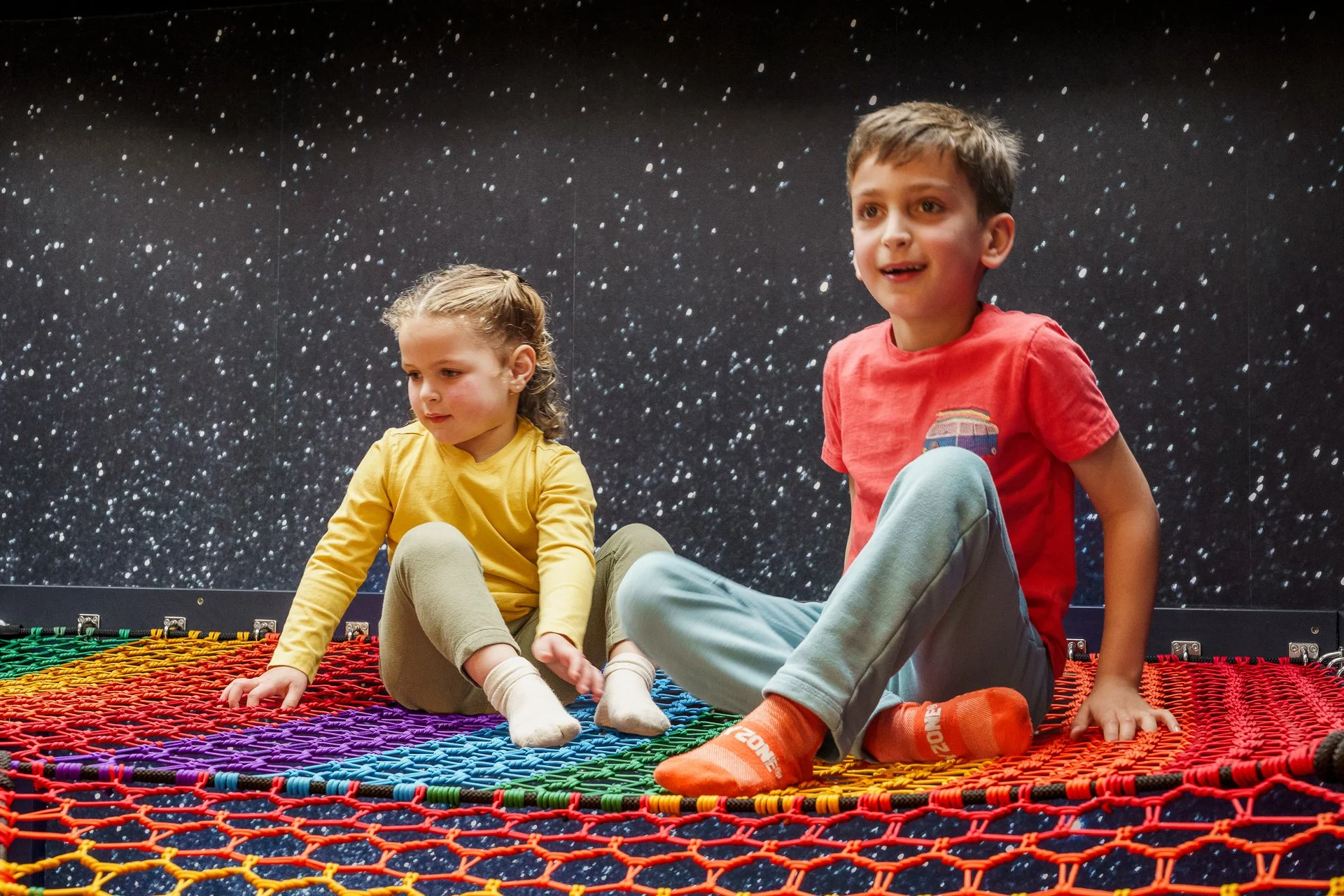 8_Treenet Collective.jpg