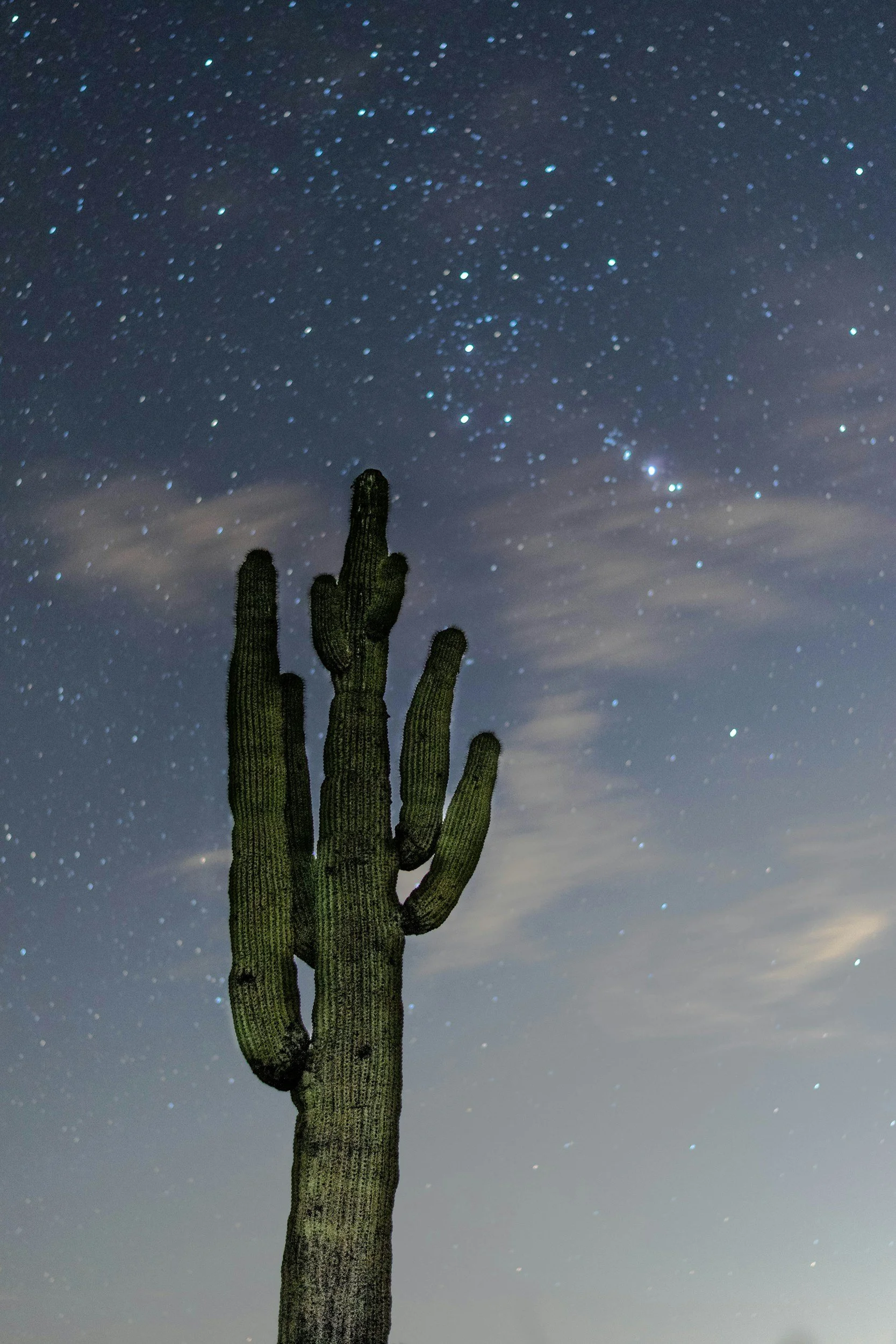 unsplash-image-algcokq4uZQ.jpg