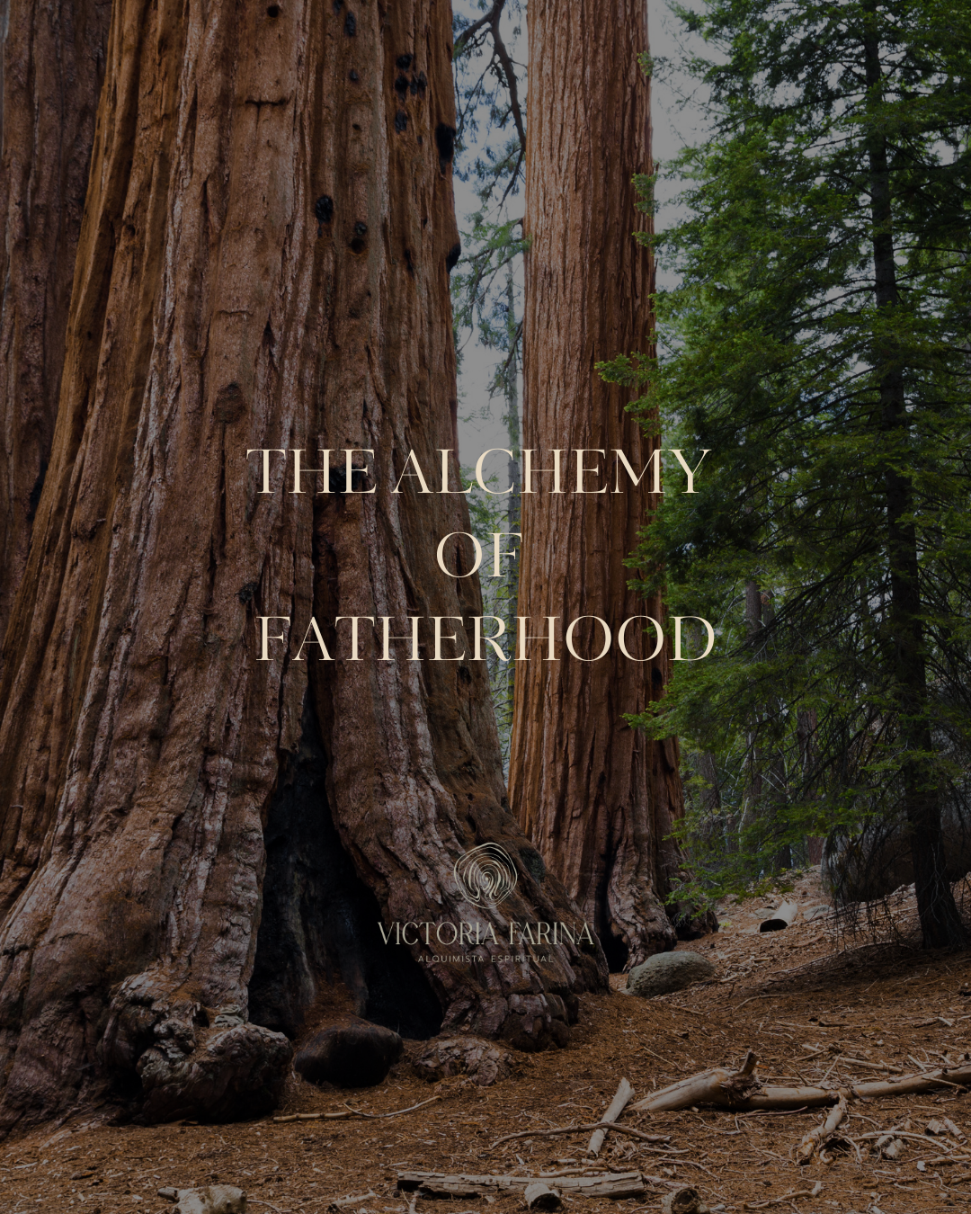 The Alchemy of Fatherhood.png