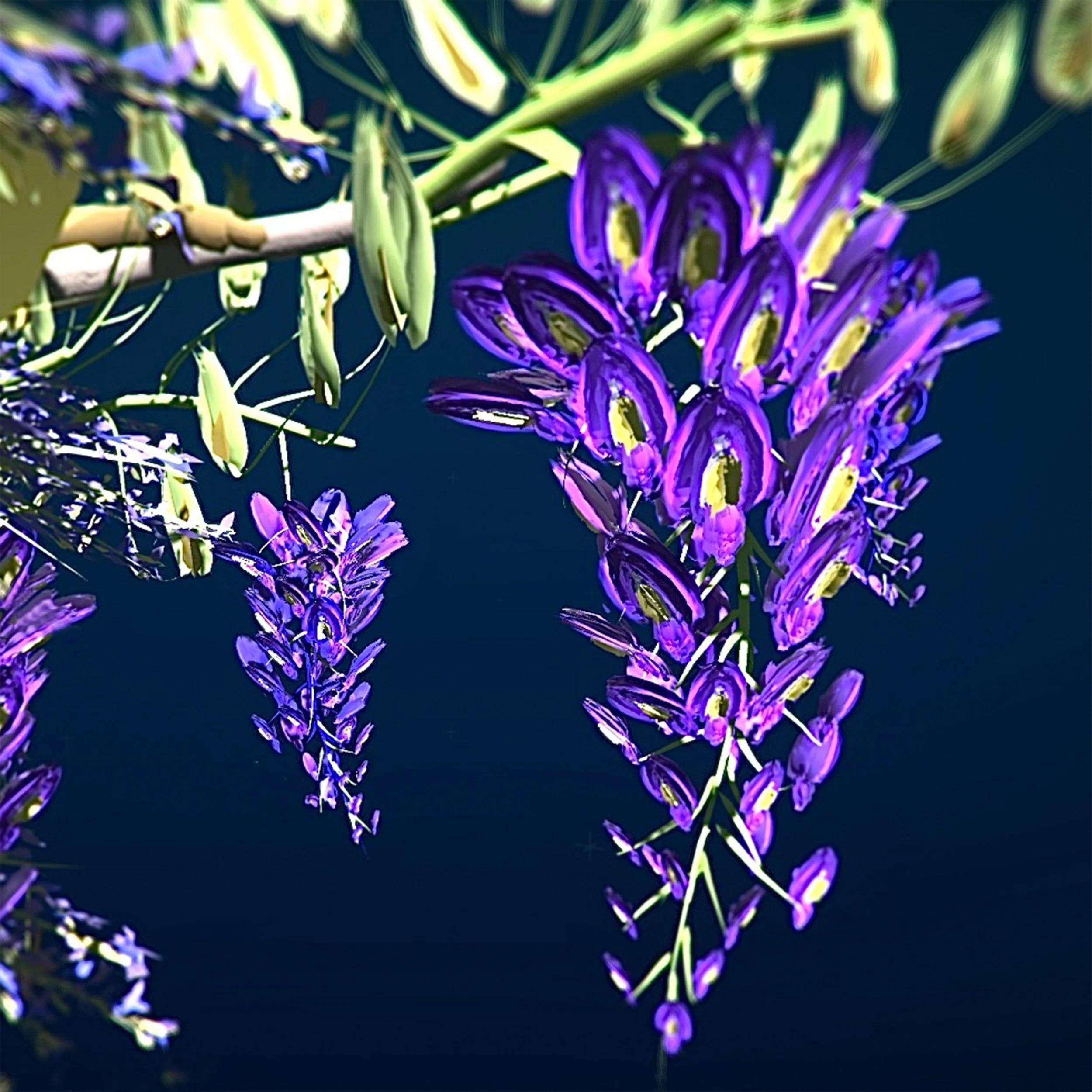 Wisteria Revised no line.jpg