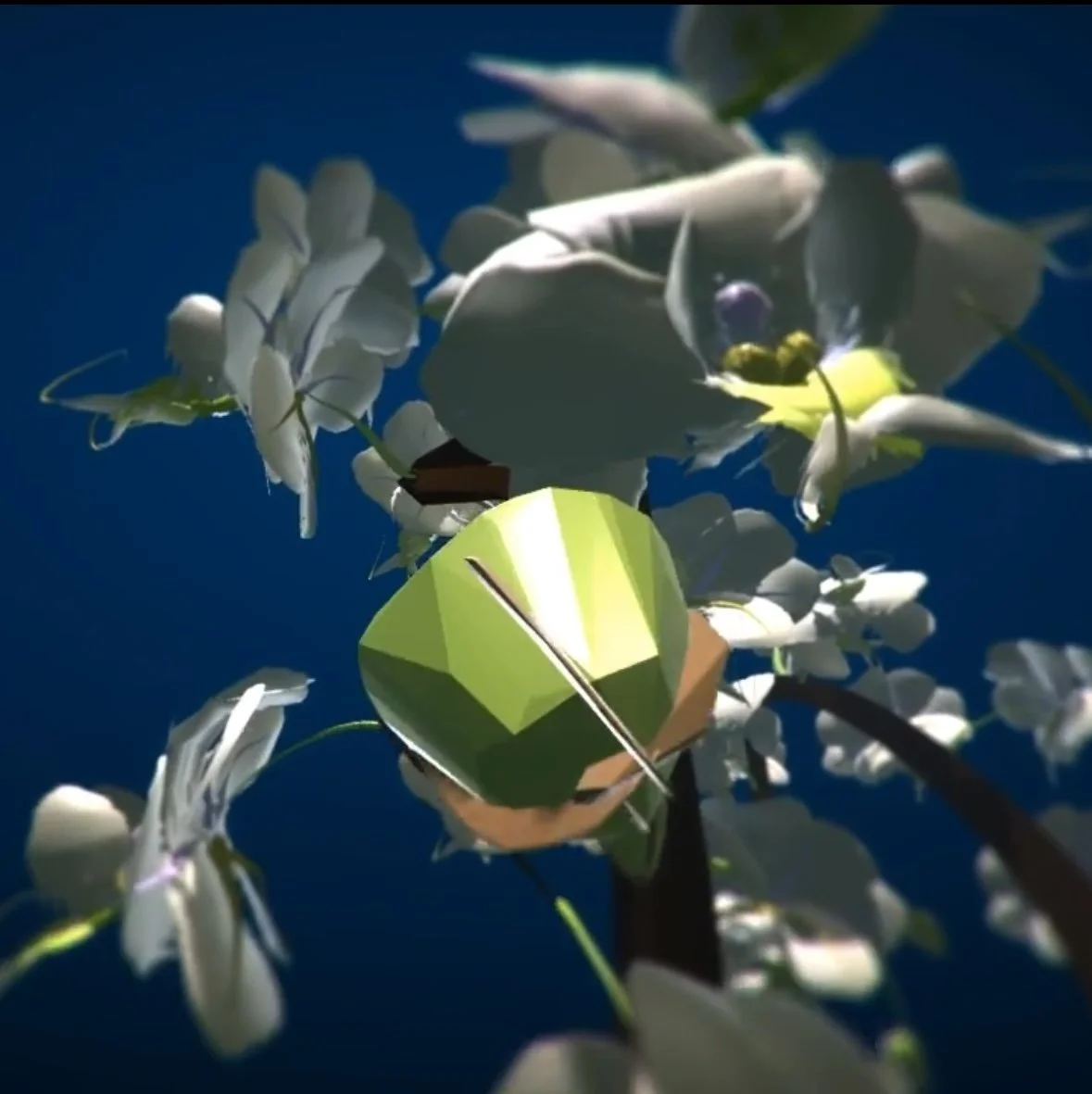 Orchid Interface and and 2 Backup Still.jpg