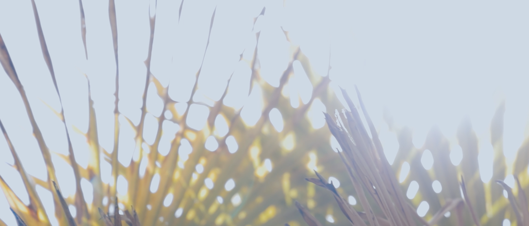 Screenshot 2025-11-07 113802.png