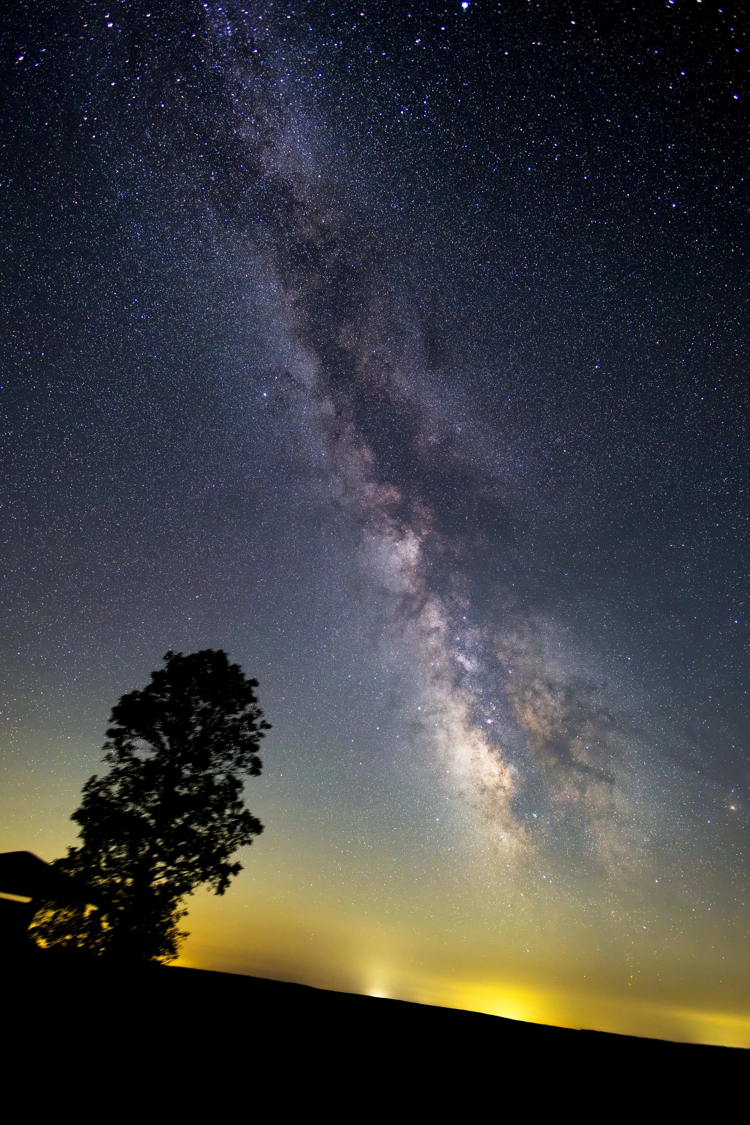 Night sky filled with stars and the Milky Way galaxy, with a silhouette of a tree and a faint glow on the horizon.