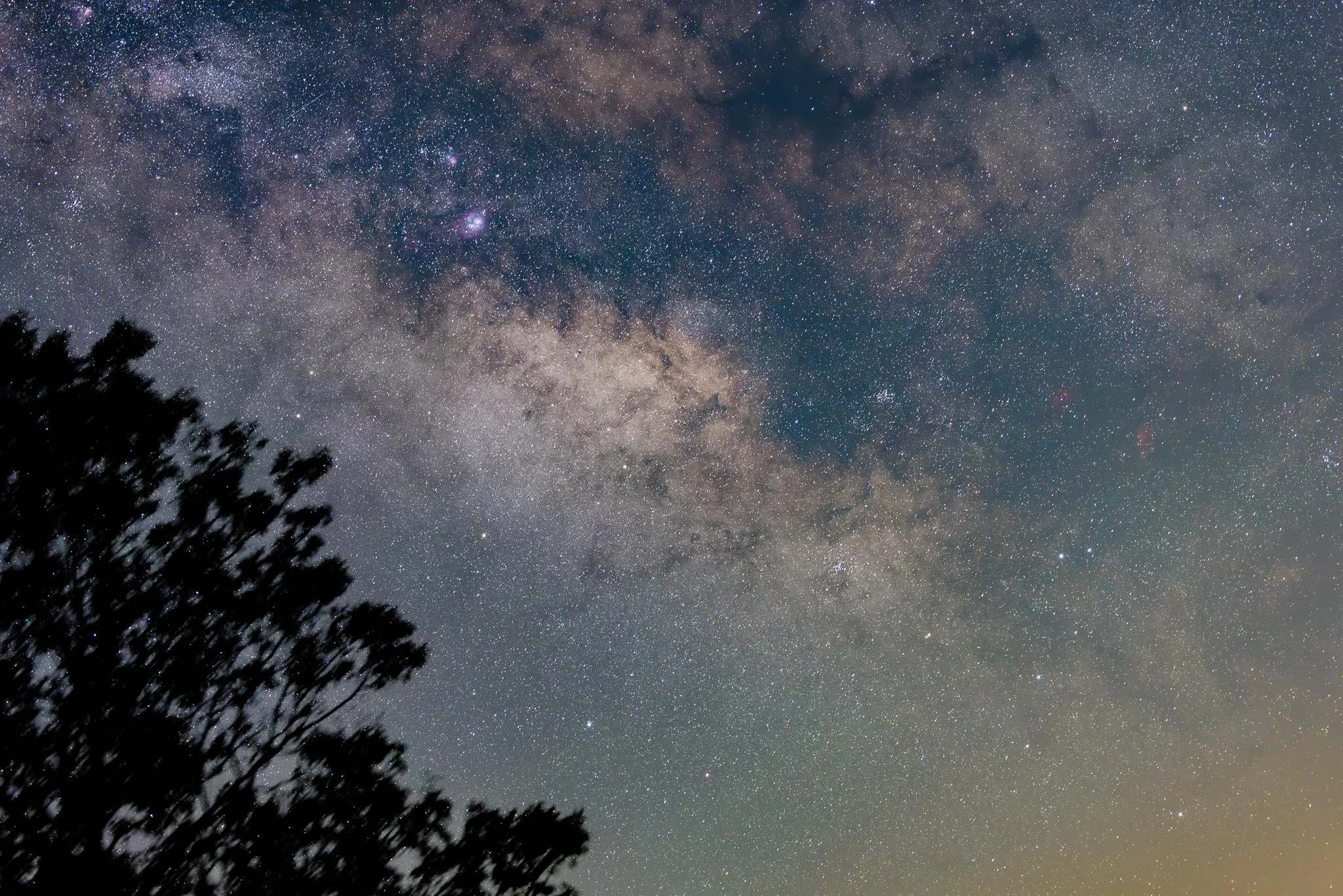 Starry night sky with the Milky Way galaxy and some silhouettes of tree branches in the foreground.