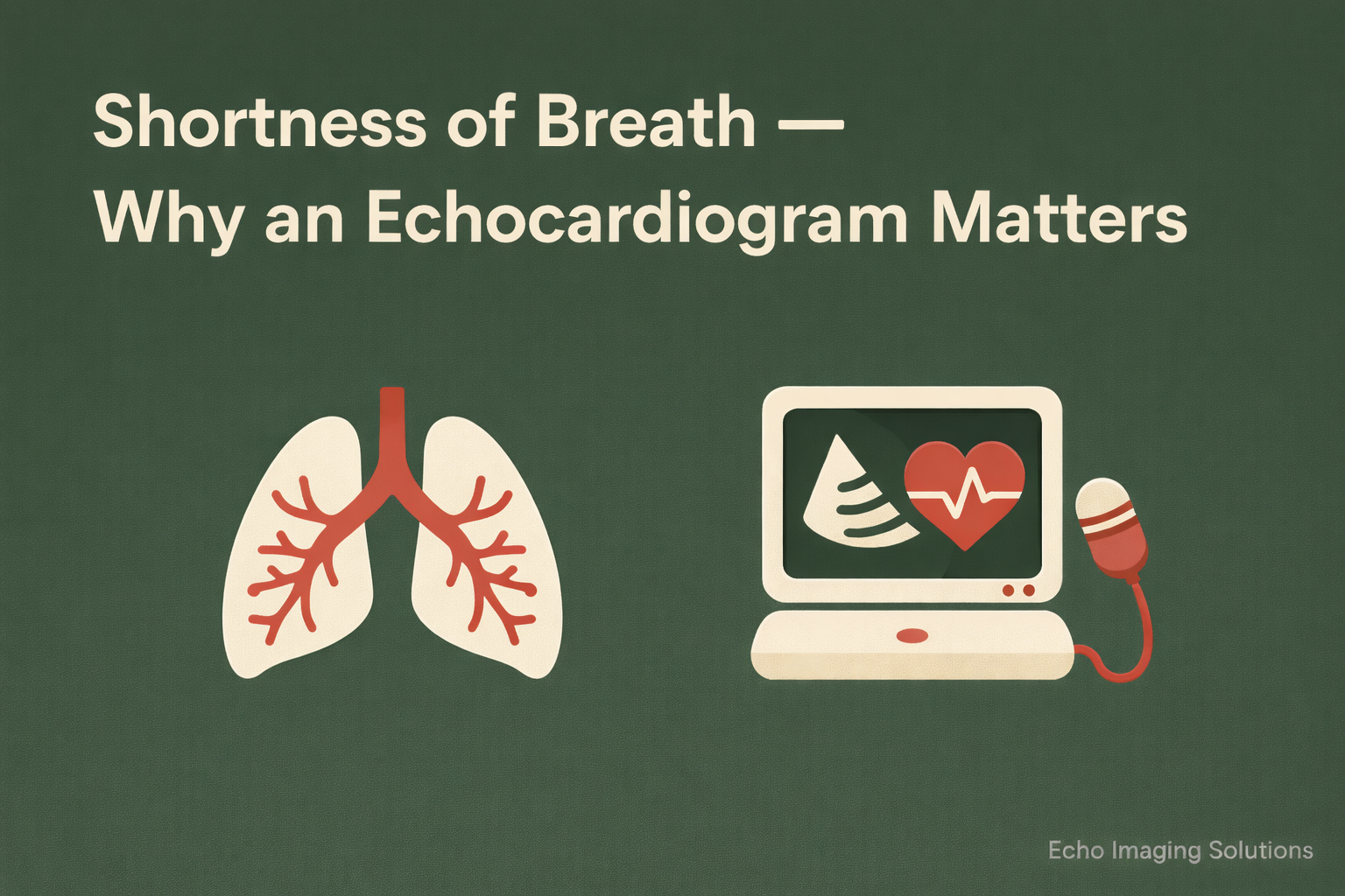 Shortness of Breath: Why an Echocardiogram Is an Important Part of the Evaluation
