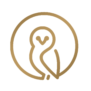 Bronze owl