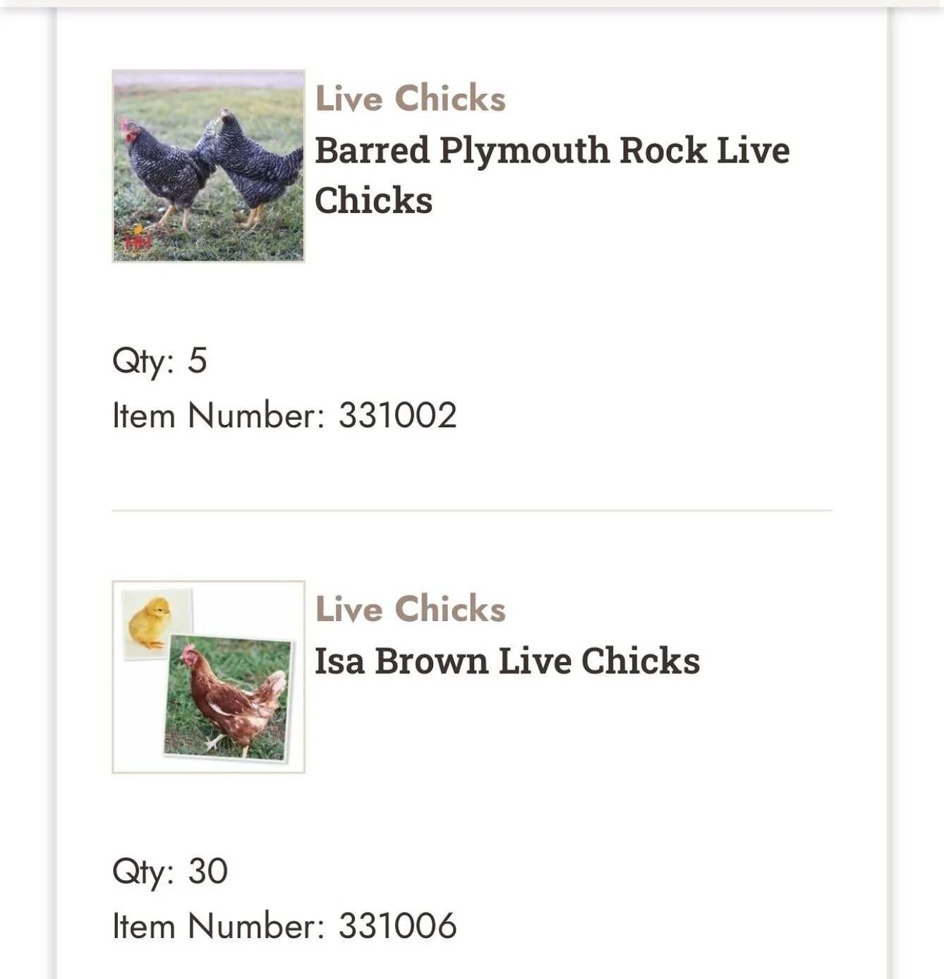 Next generation

Eeeeekkkkk it&rsquo;s getting close to one of the best times of the year, chick season!!!

We&rsquo;d previously enjoyed ordering from a hatchery nearby in Oregon but unfortunately they raised their minimum to 3,000 this year so we&r