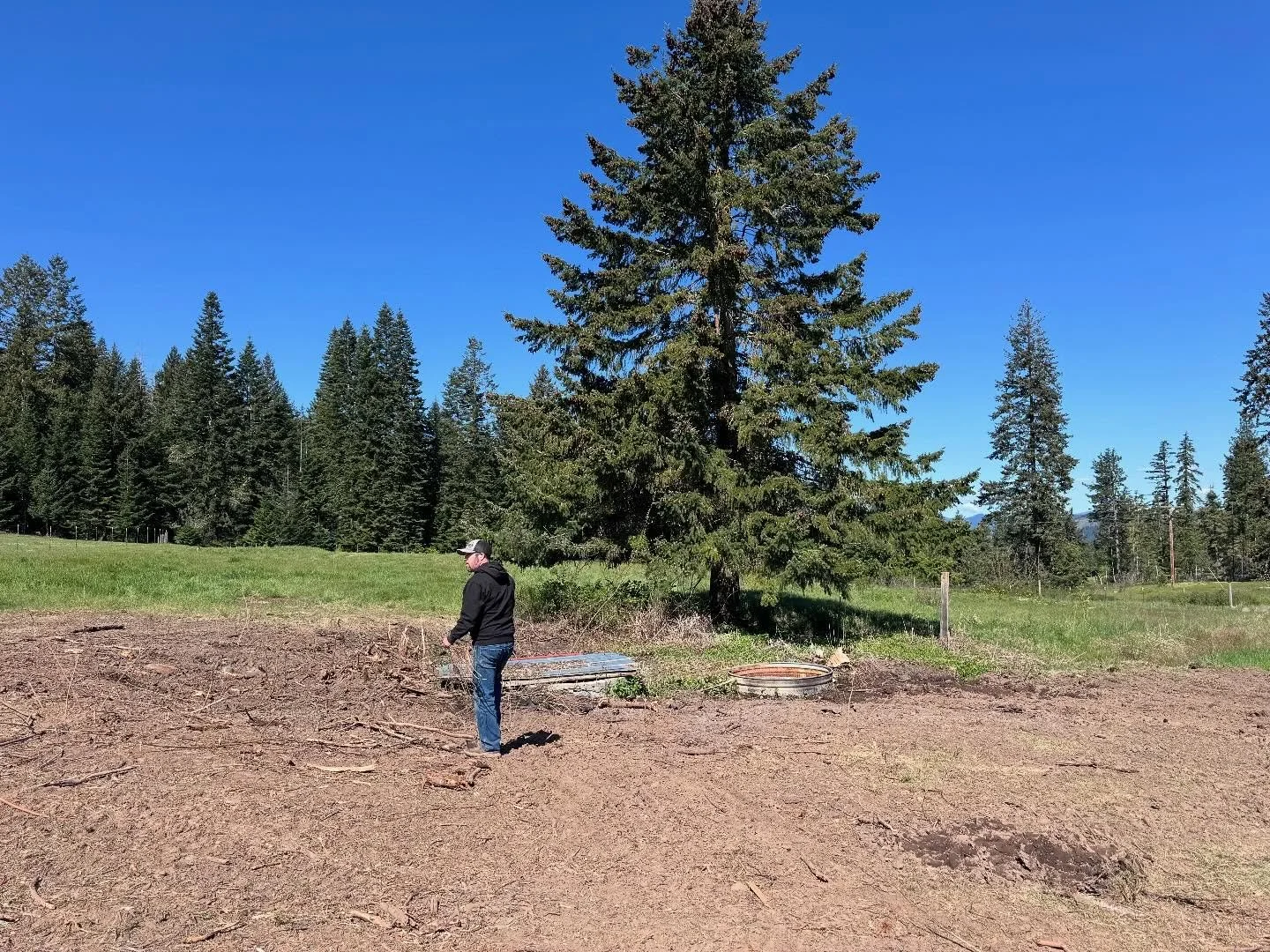 Springing the spring

You may have noticed a huge willowy/shrubby mass on our property. That mass actually surrounded the original water source for our 1935 home, a spring cistern system.

Over the years Nick has bushwhacked in a few times to assess 