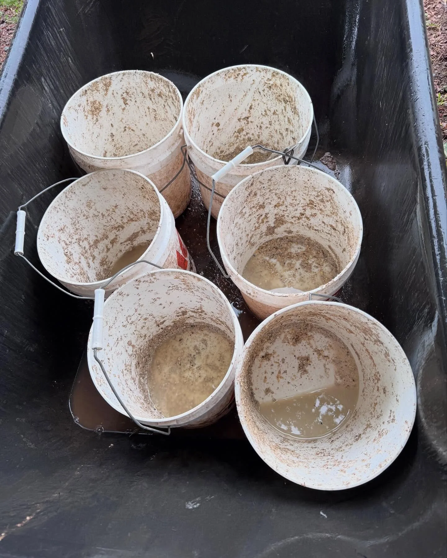 Keep it coming!

The hillbilly rain gauge was looking great yesterday afternoon.

A nice rain moved in my the afternoon and the feed buckets already had a good collection of water in them by feeding time.

Rain continued through bed time and more is 