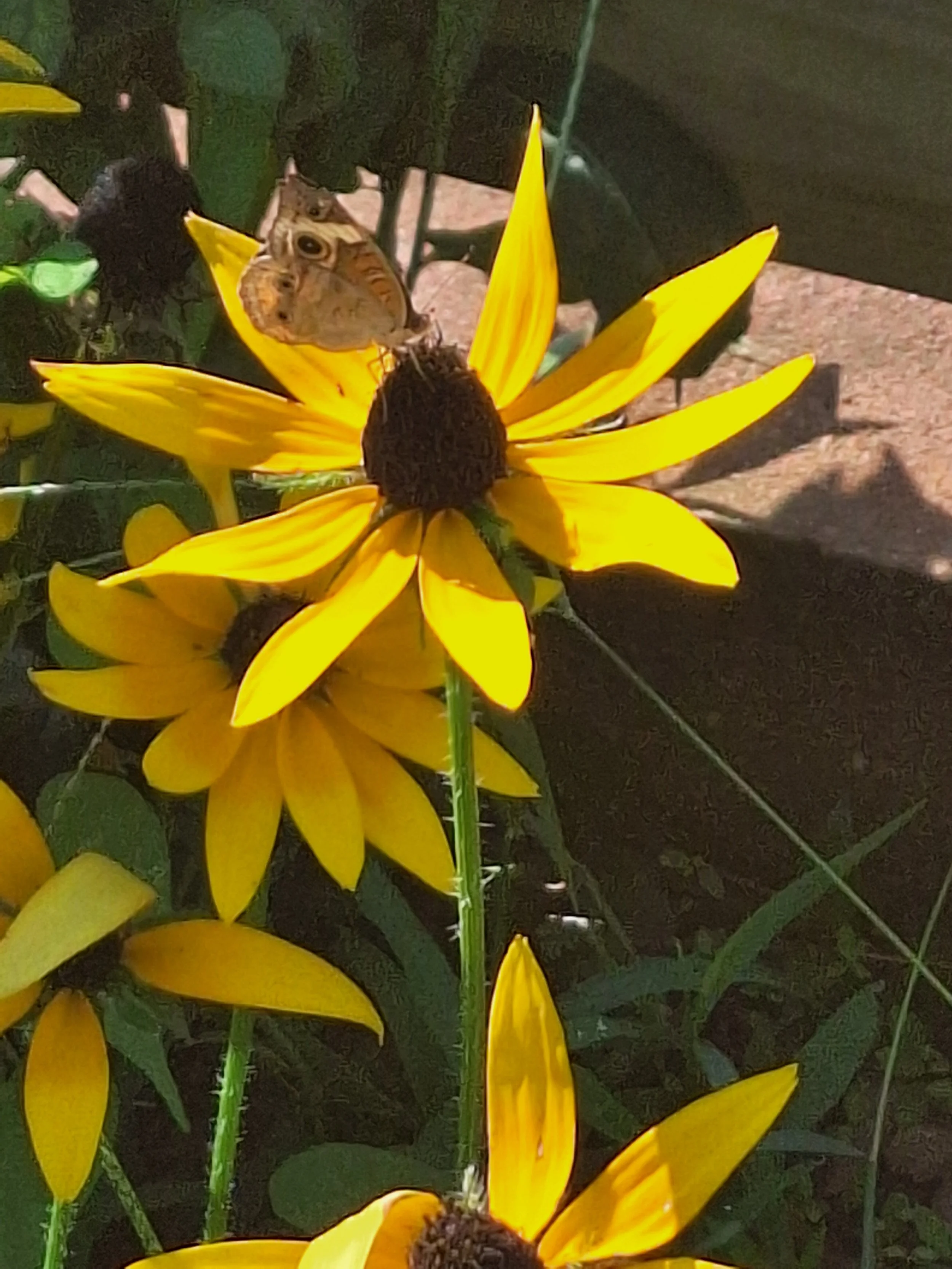 20250815_103616.jpg