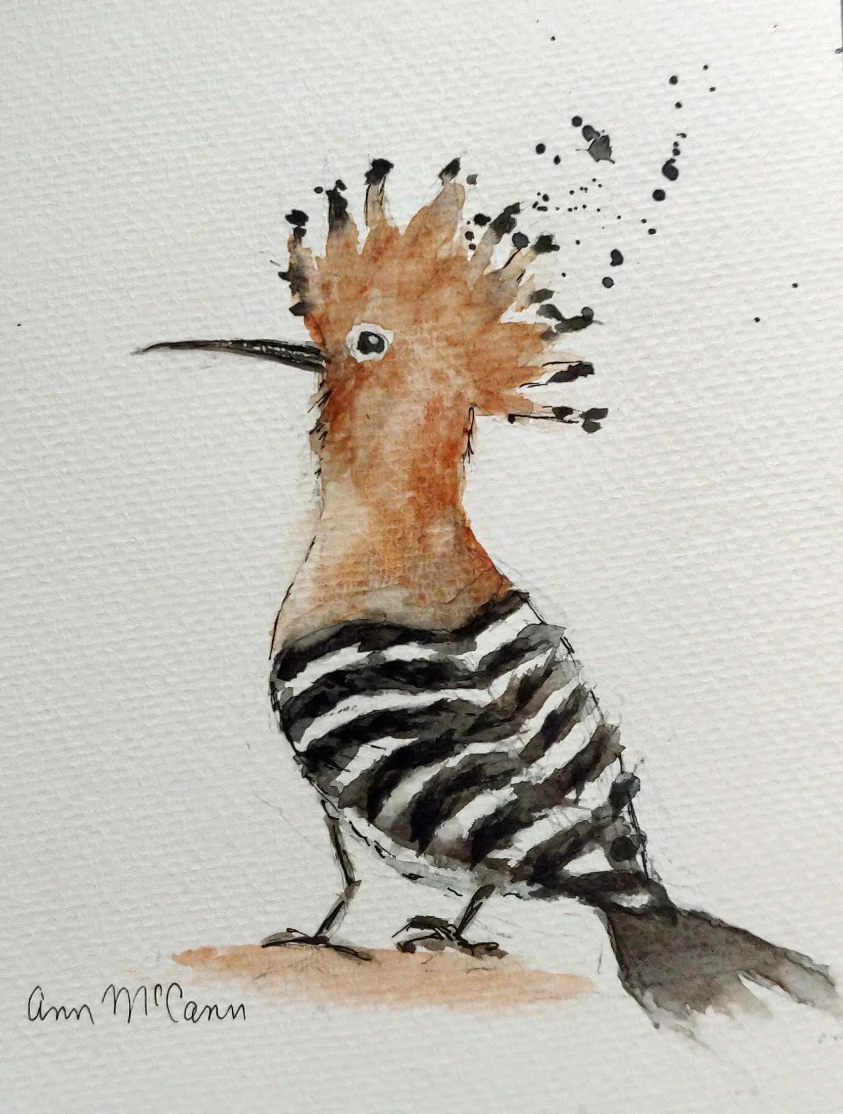 hoopoe edited.jpg