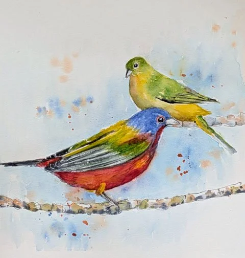 Painted Bunting Pair by Ann McCann 12 X 12" Watercolor