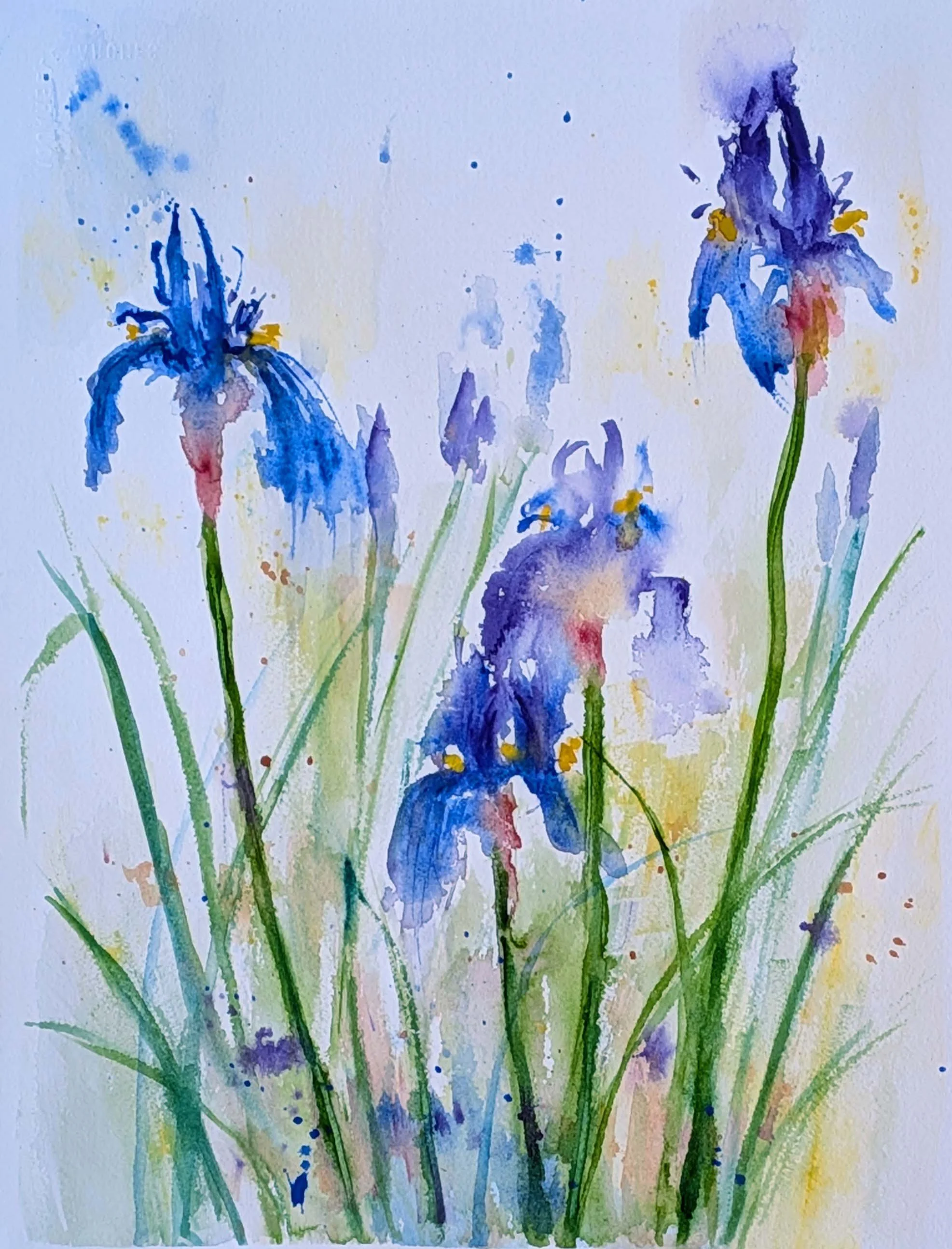 "Siberian Iris Streams" by Ann McCann to be in the 2026 Southwest Watercolor Society Show