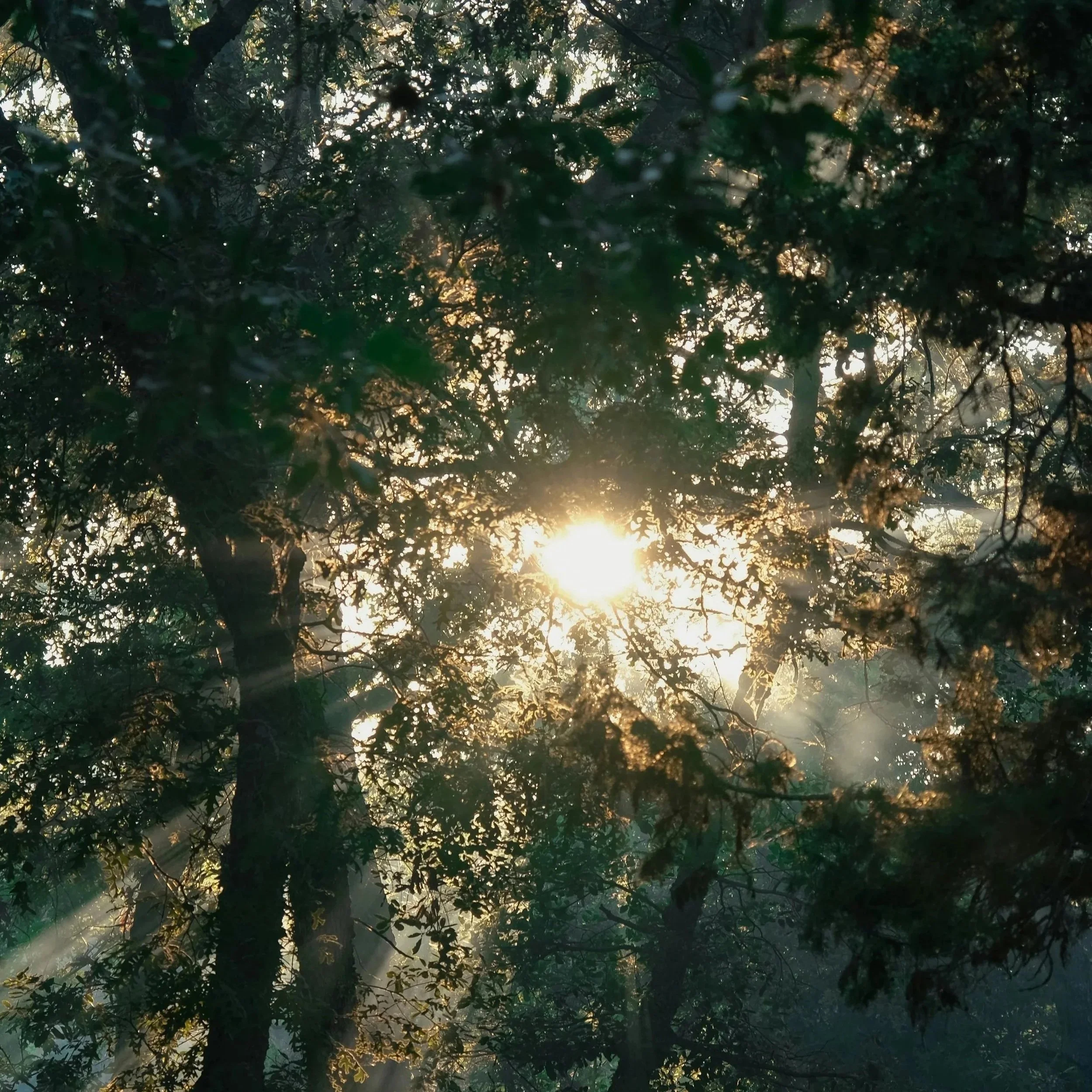 Relapsing and Therapy: What to Do When You Fall Back Into Old Patterns