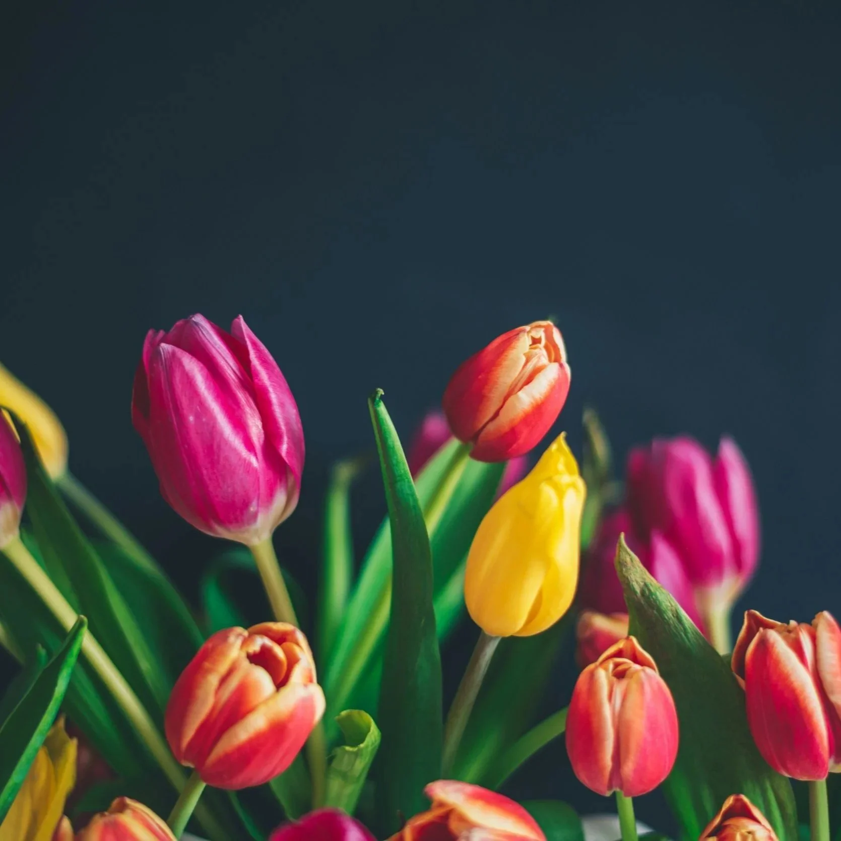 Spring Anxiety Is Real: Why You Might Feel Worse as the Weather Gets Better