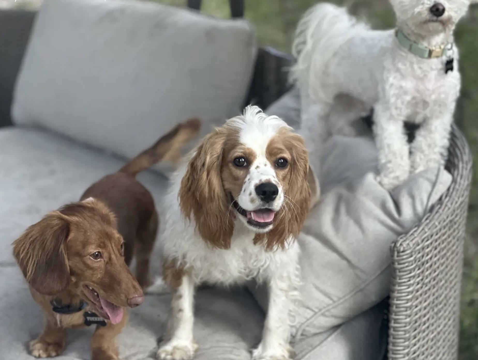 Screenshot 2025-01-01 at 9.14.23 PM.png