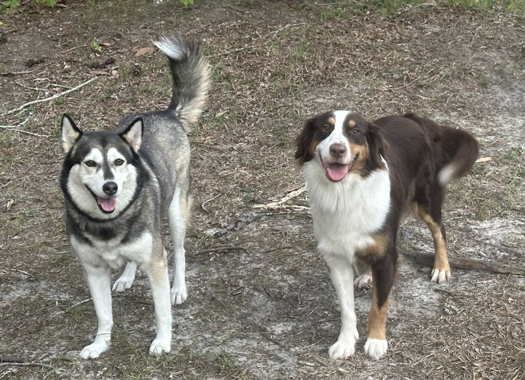 Screenshot 2025-01-01 at 8.43.55 PM.png