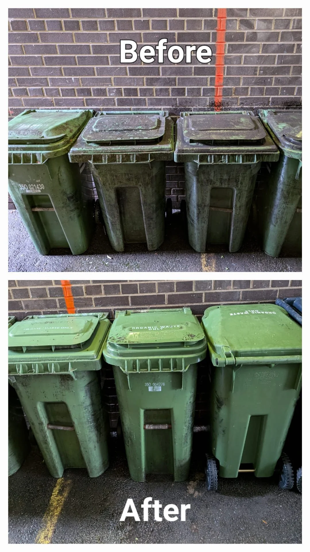 WhatsApp Image 2024-10-03 at 14.12.28_ac7e5445.jpg