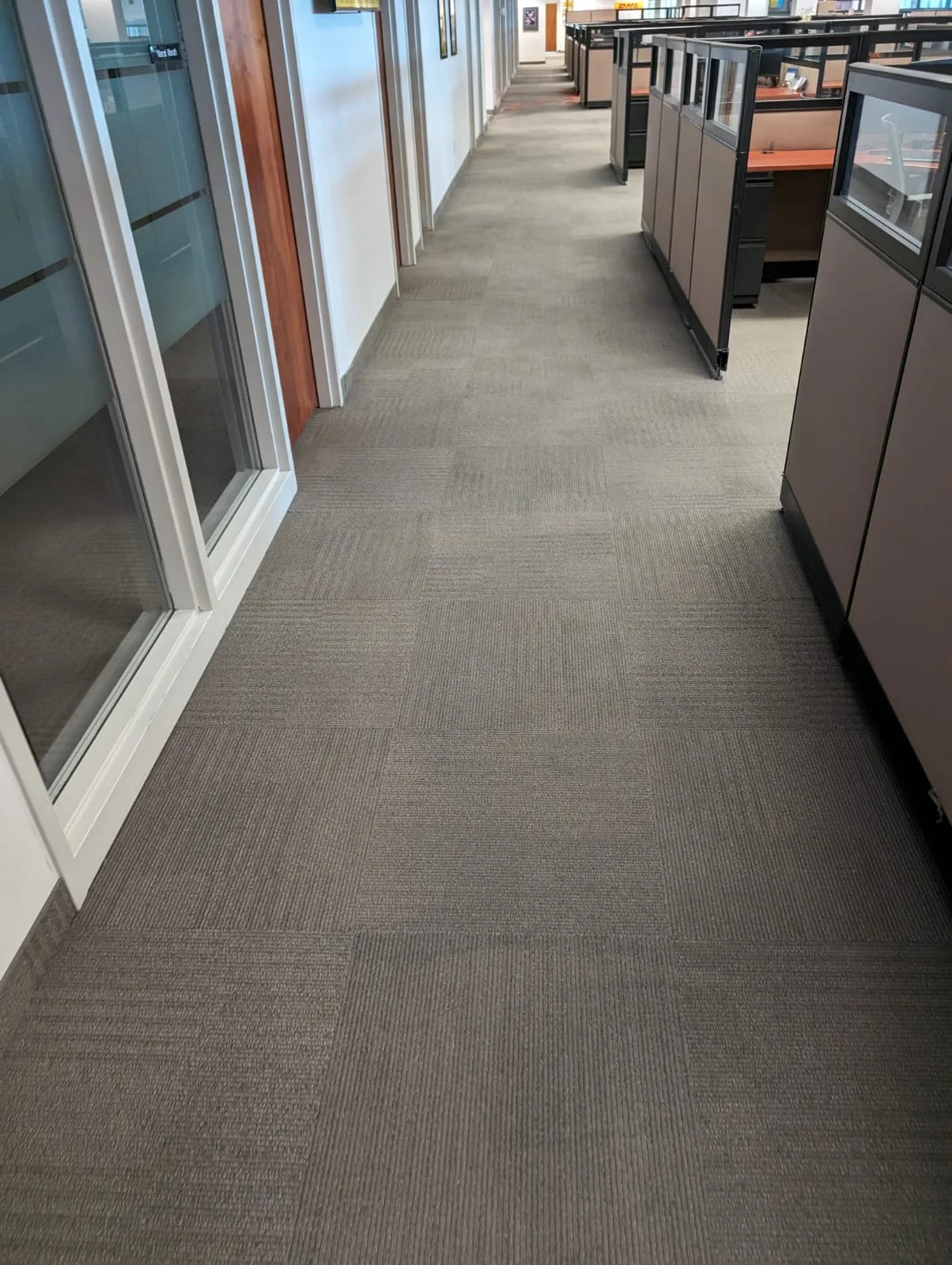 WhatsApp Image 2024-11-22 at 16.34.11_2e322e9f.jpg