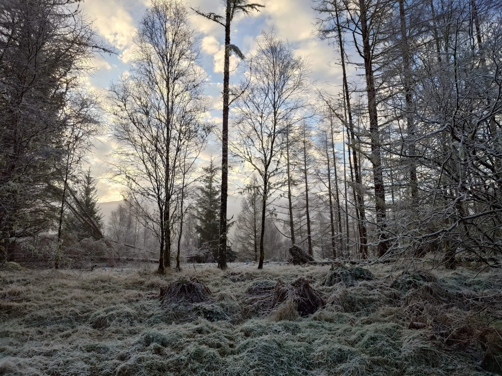 Winter Skills Braemar
