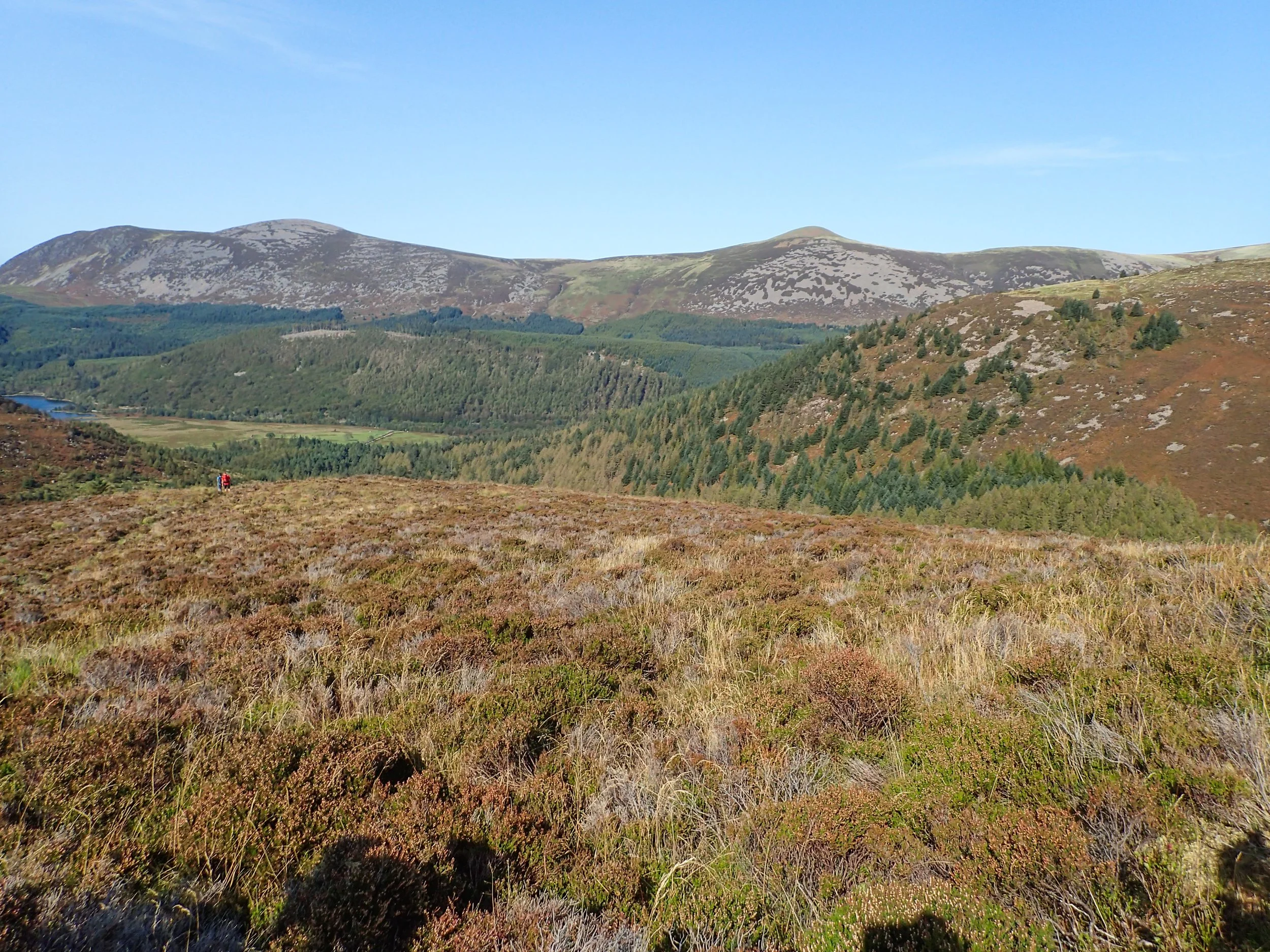 Great Borne &amp; Starling Dodd