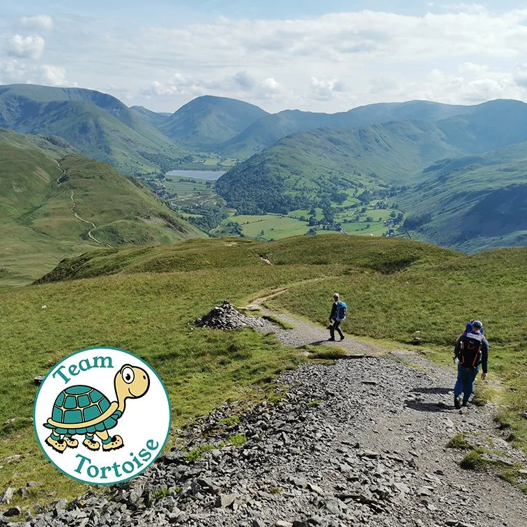 High Hartsop Dodd, Little Hart Crag, Red Screes and Middle Dodd - sorry this one sold out too!