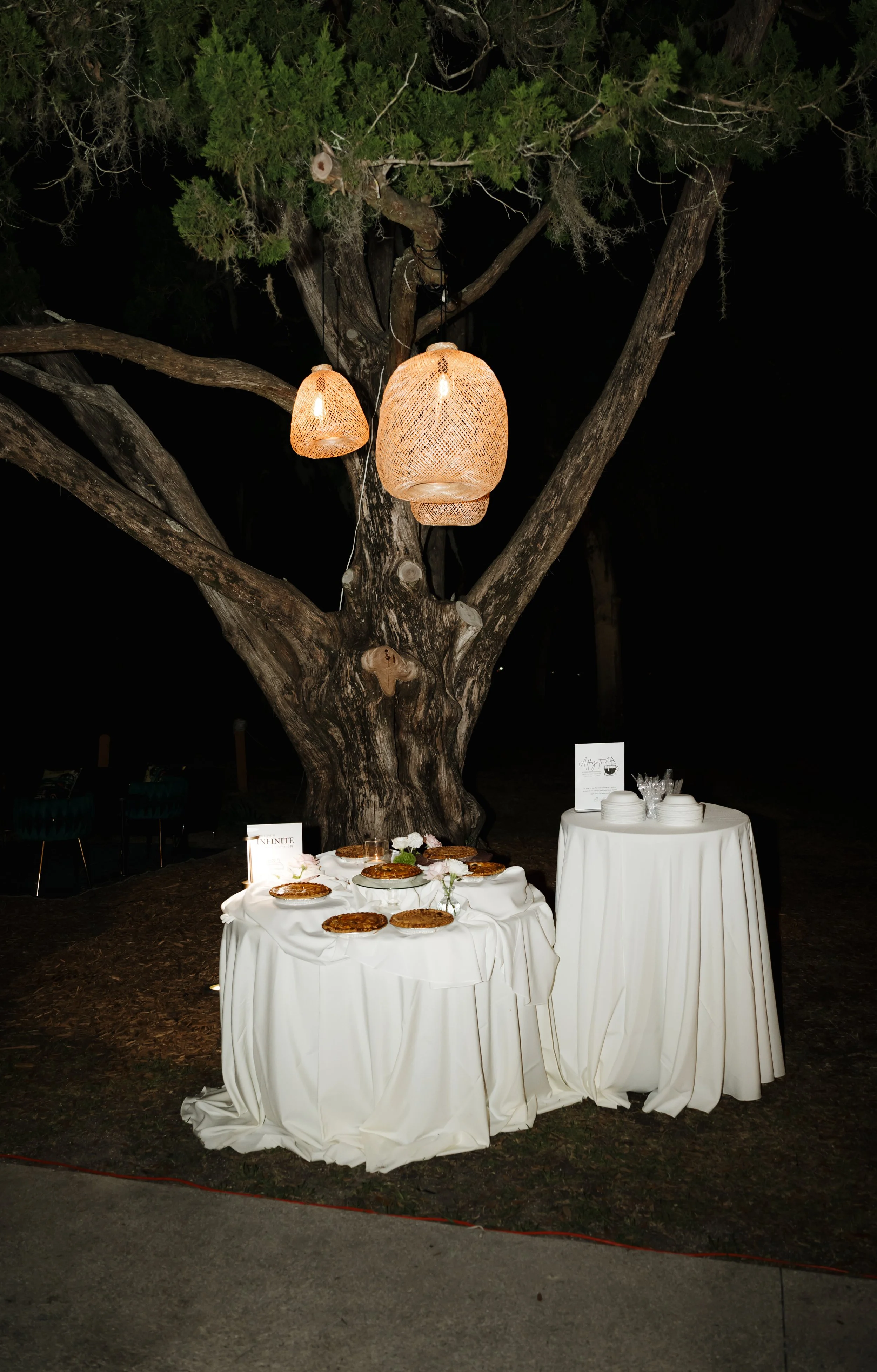 GOODVIBECATIONSAliAlexReceptionCouplesPhotos-42.jpg