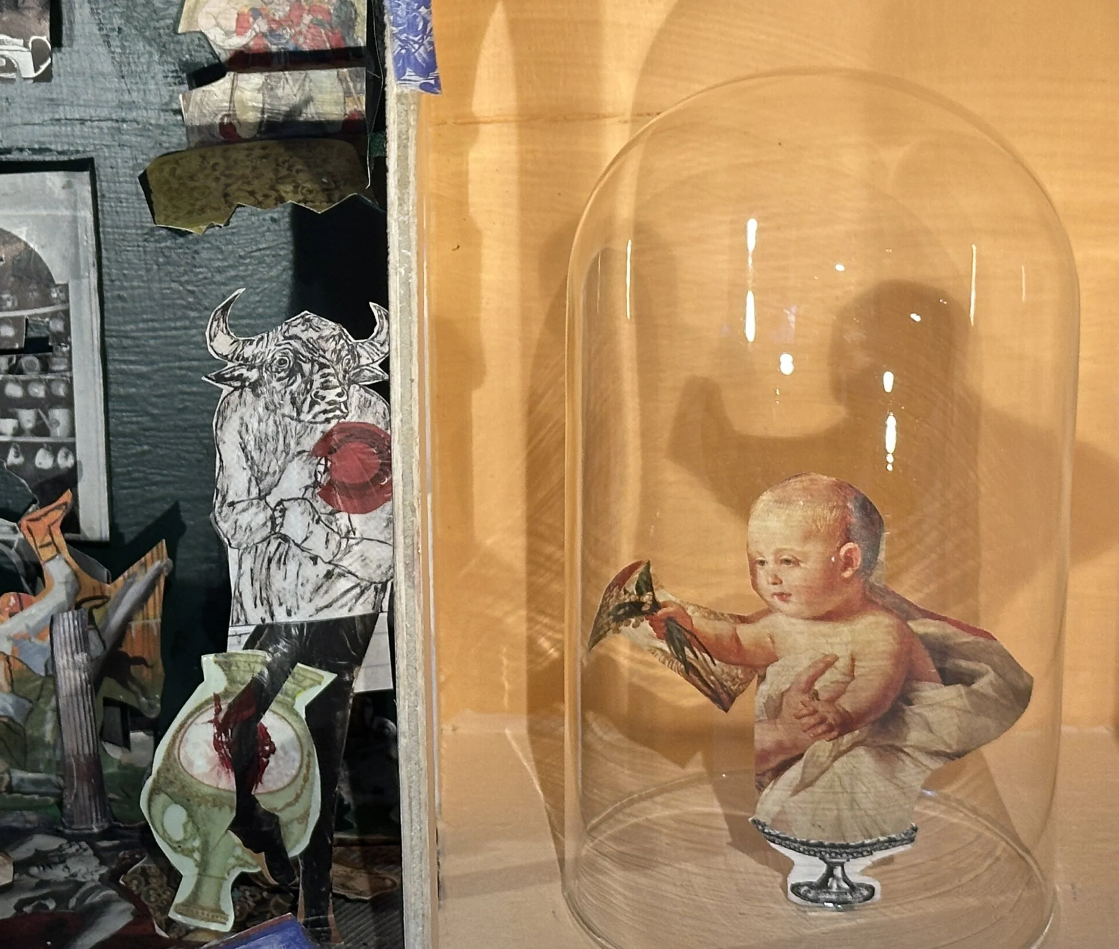 The Bull, the China Shop, and the Bell Jar.